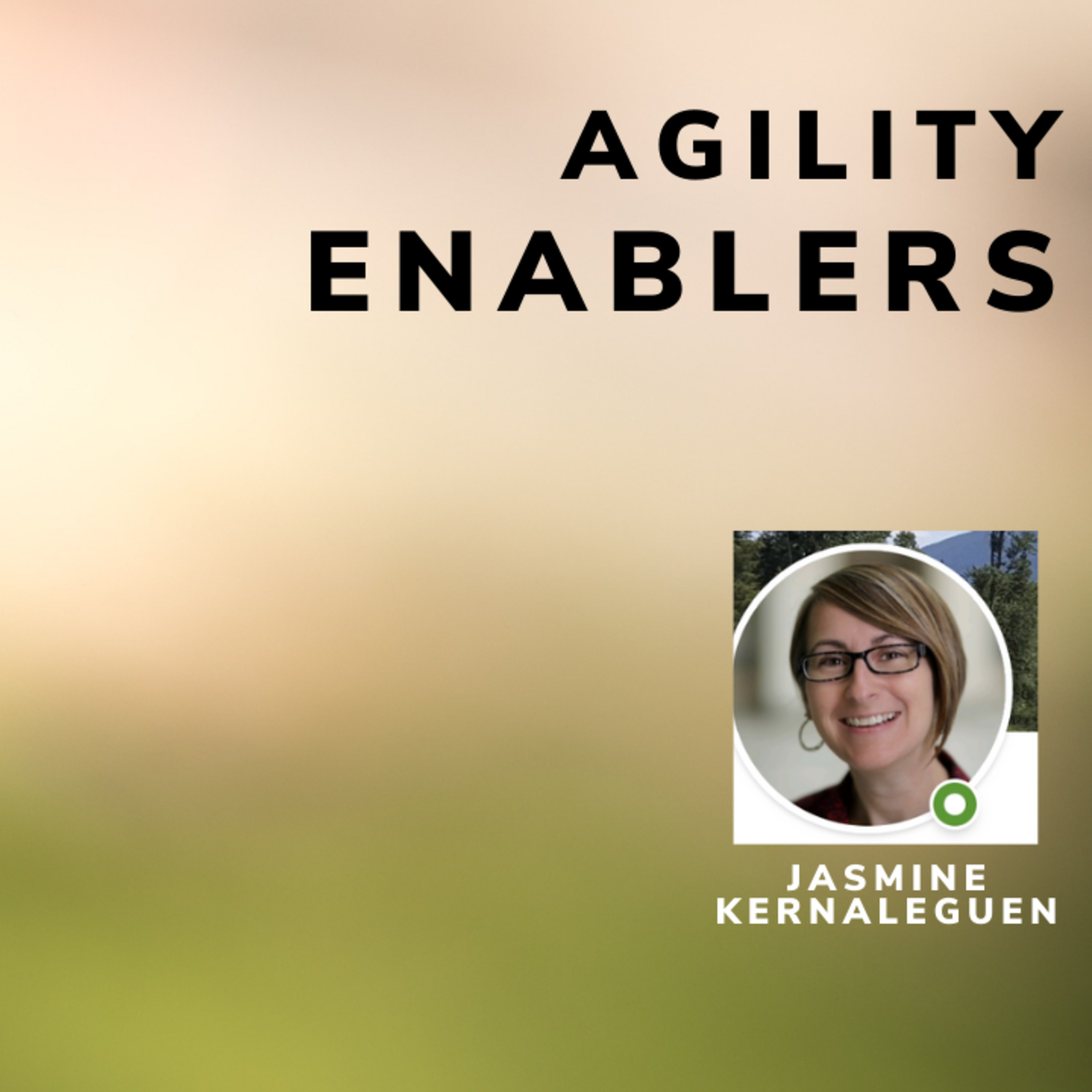 A day in the life of an Agility Enabler