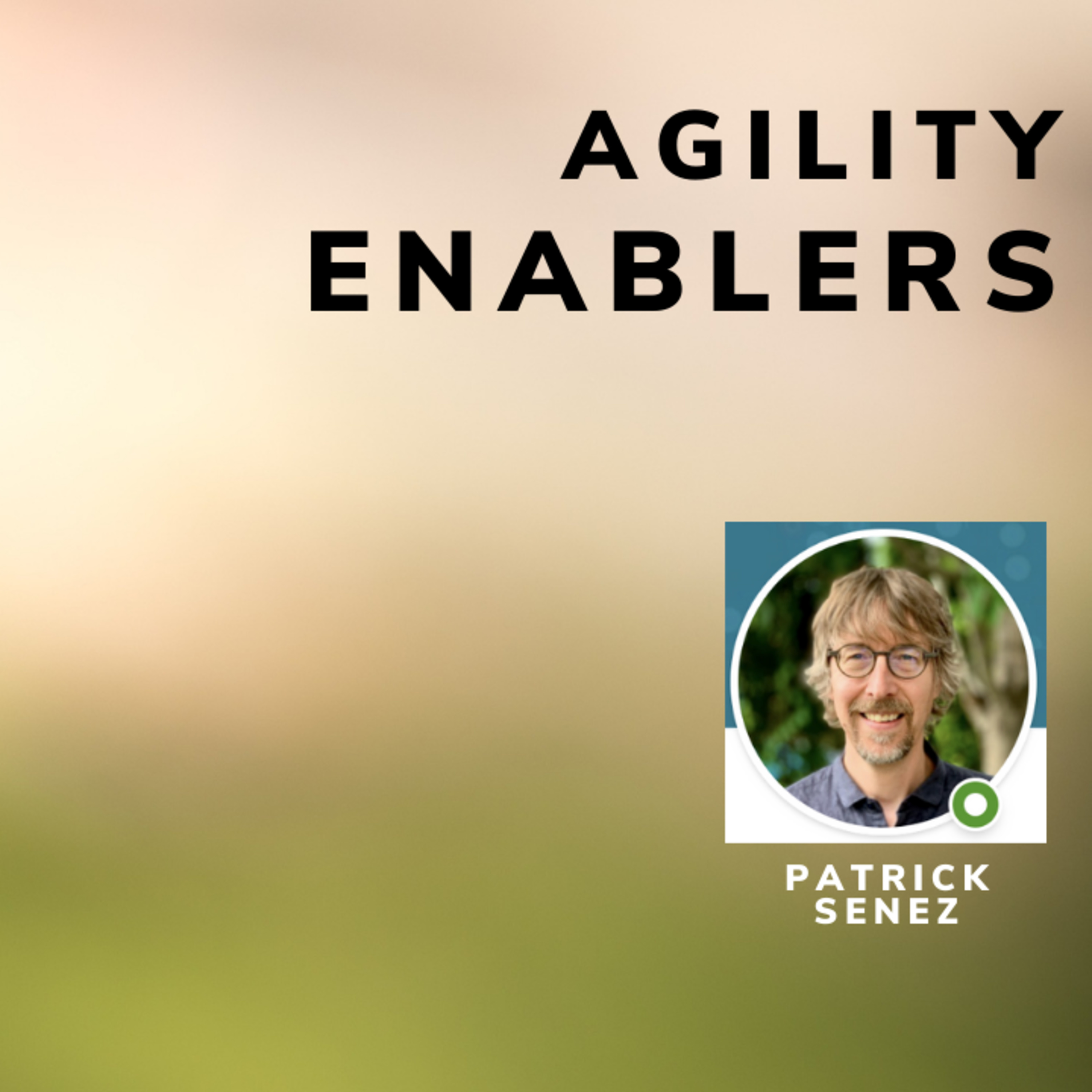 A day in the life of an Agility Enabler
