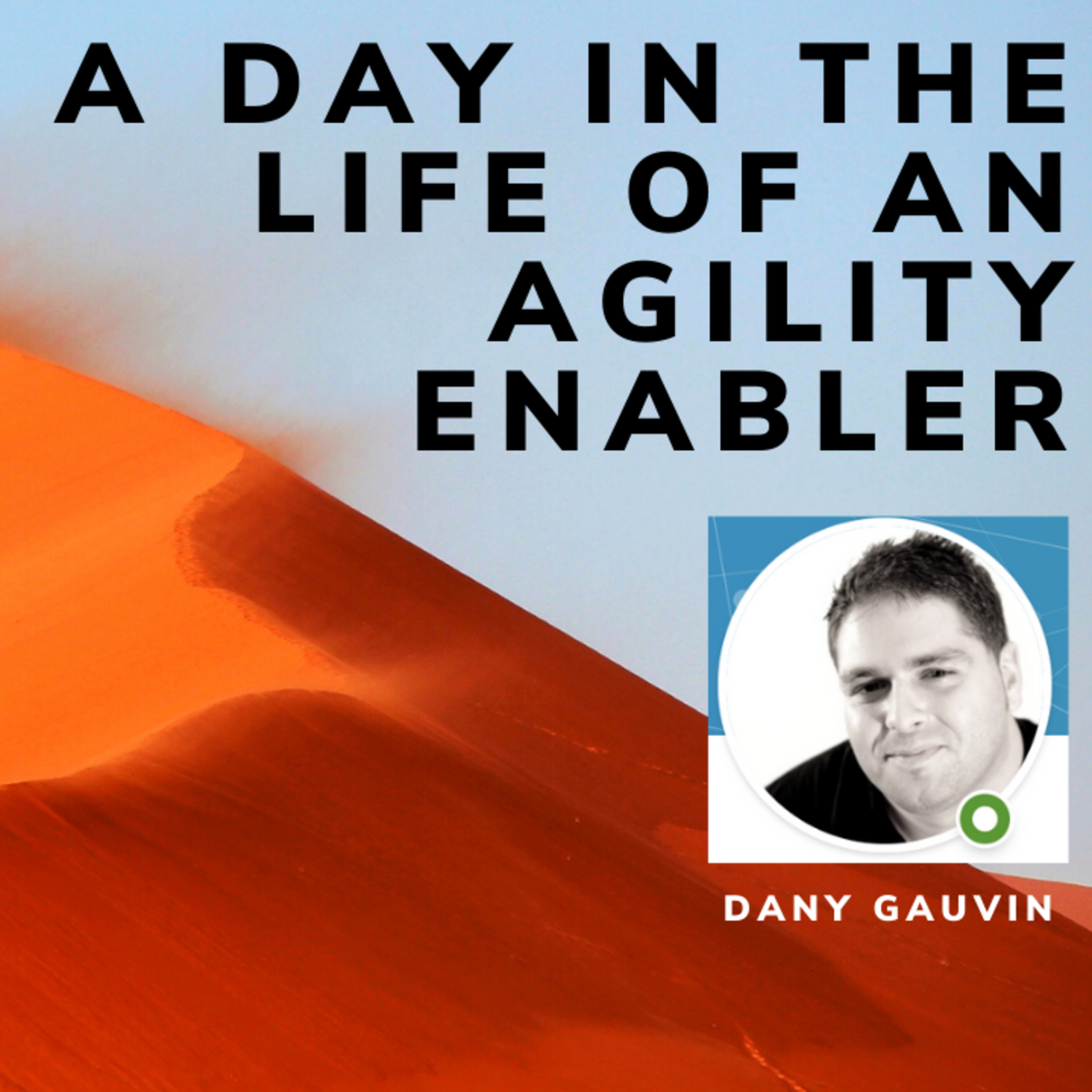 A day in the life of an Agility Enabler