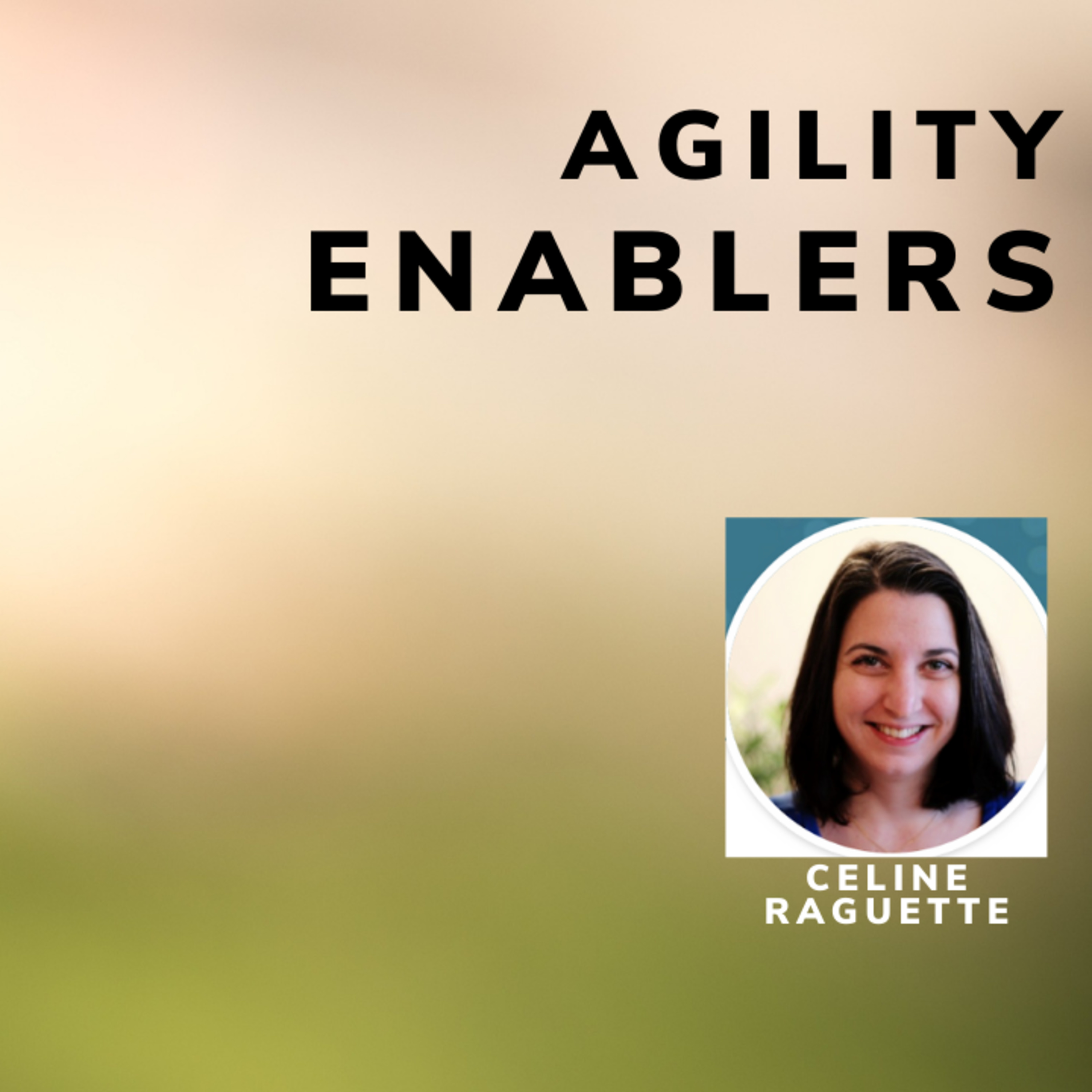 A day in the life of an Agility Enabler