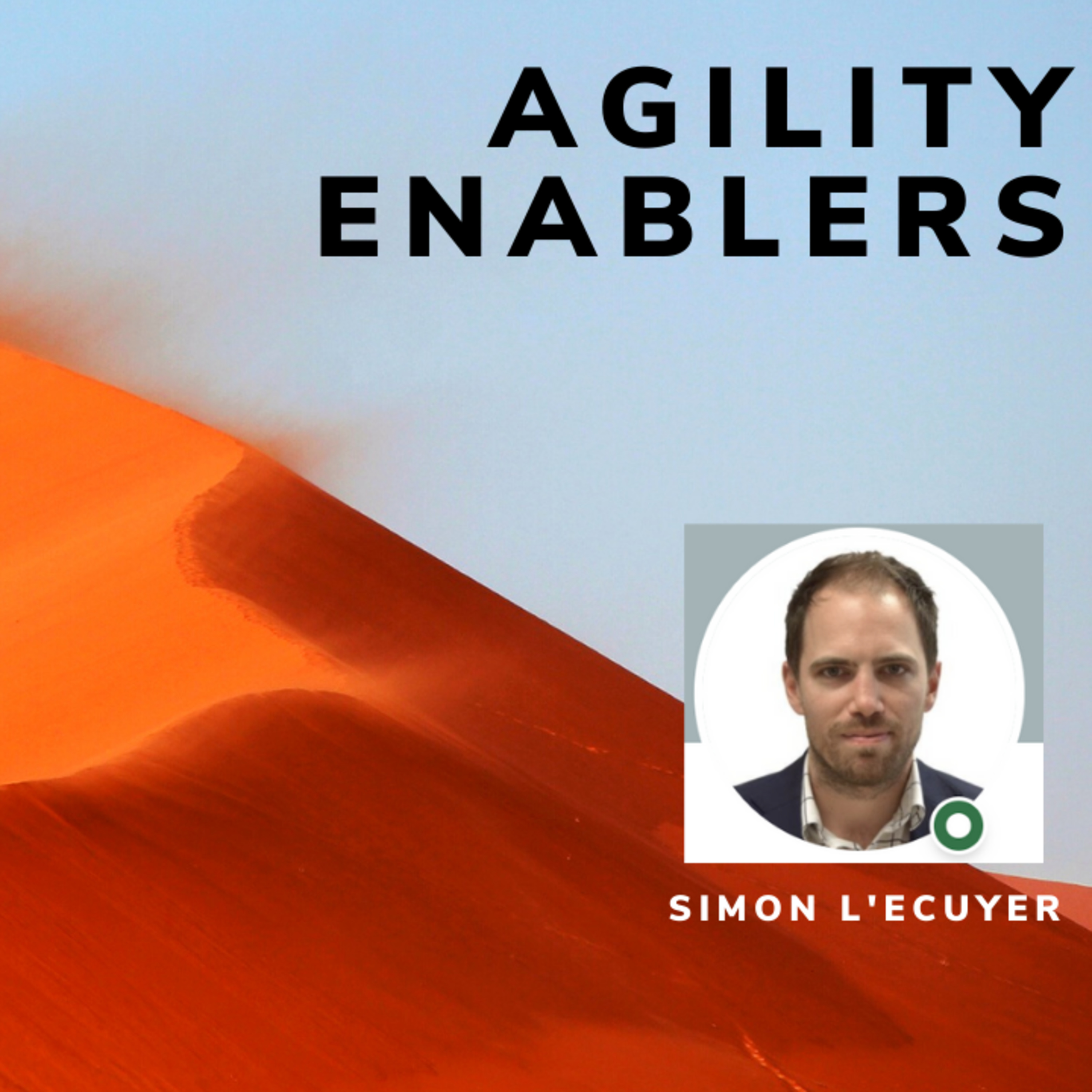 A day in the life of an Agility Enabler