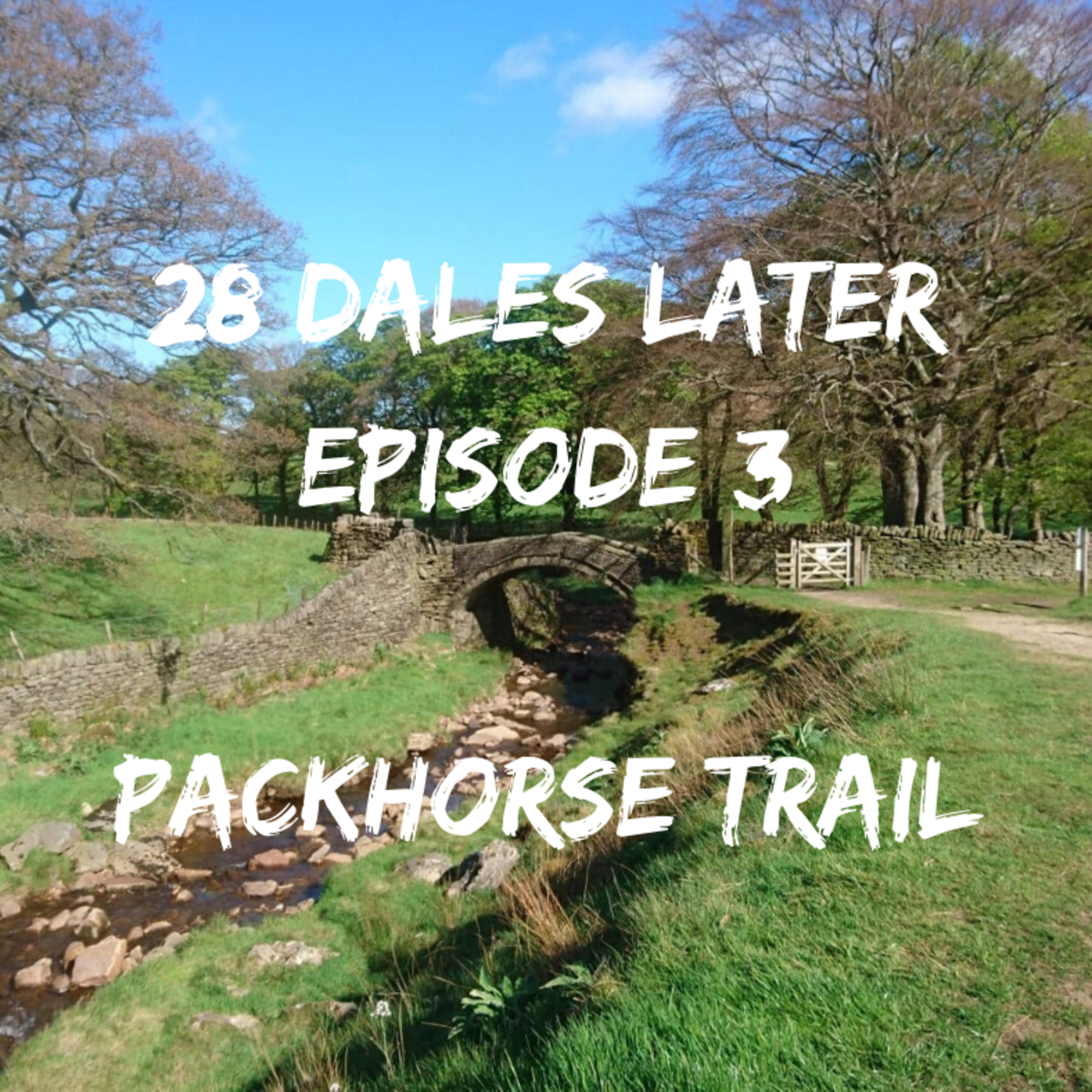 28 Dales Later