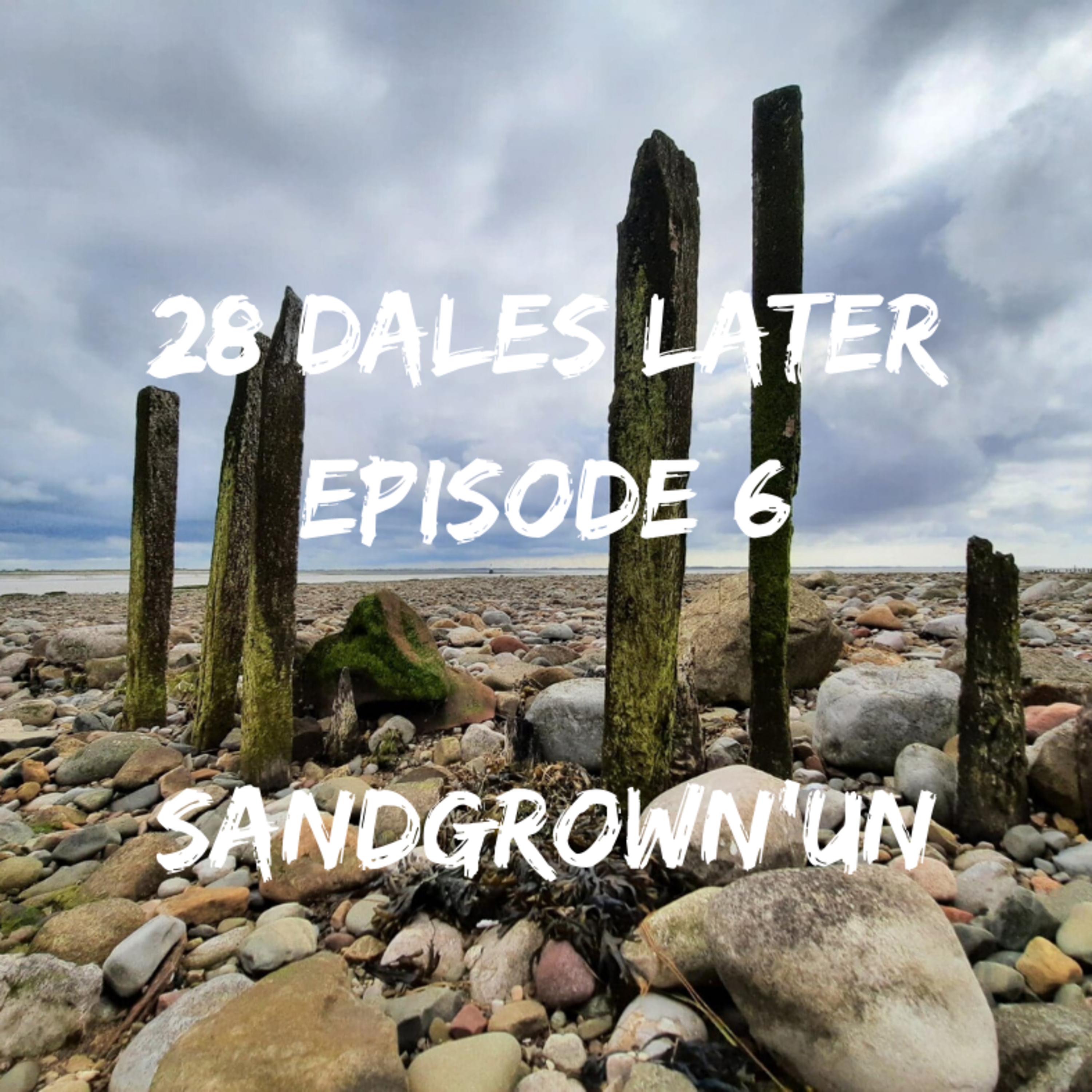 28 Dales Later