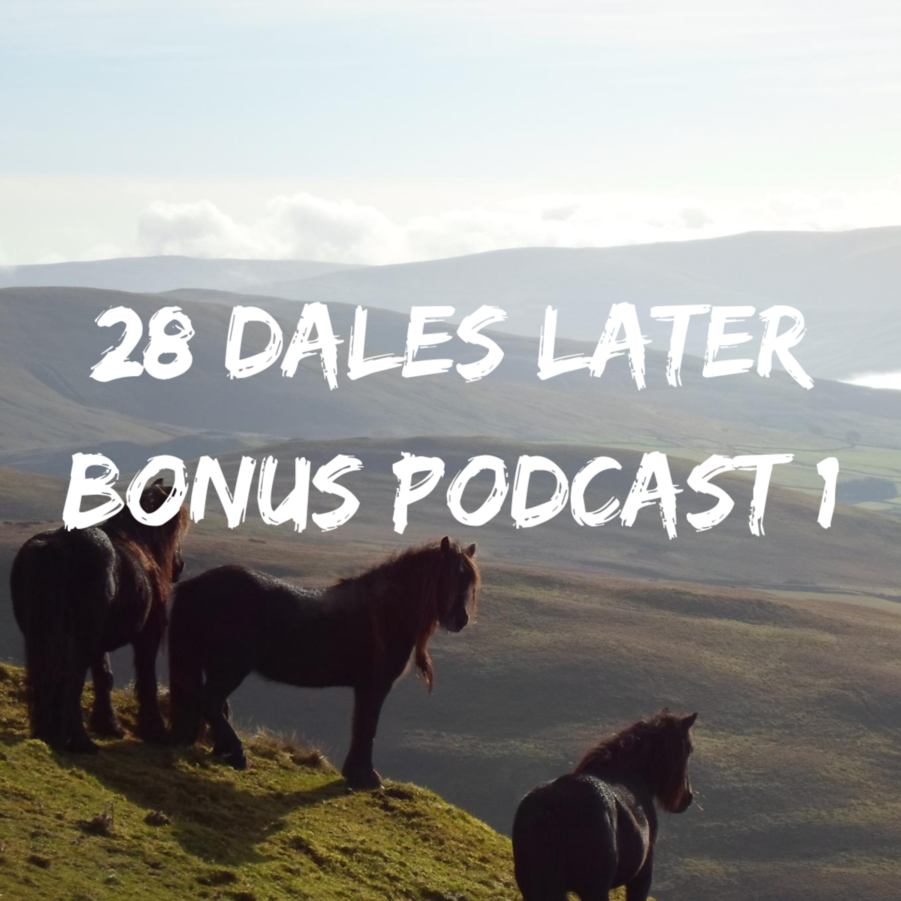 28 Dales Later