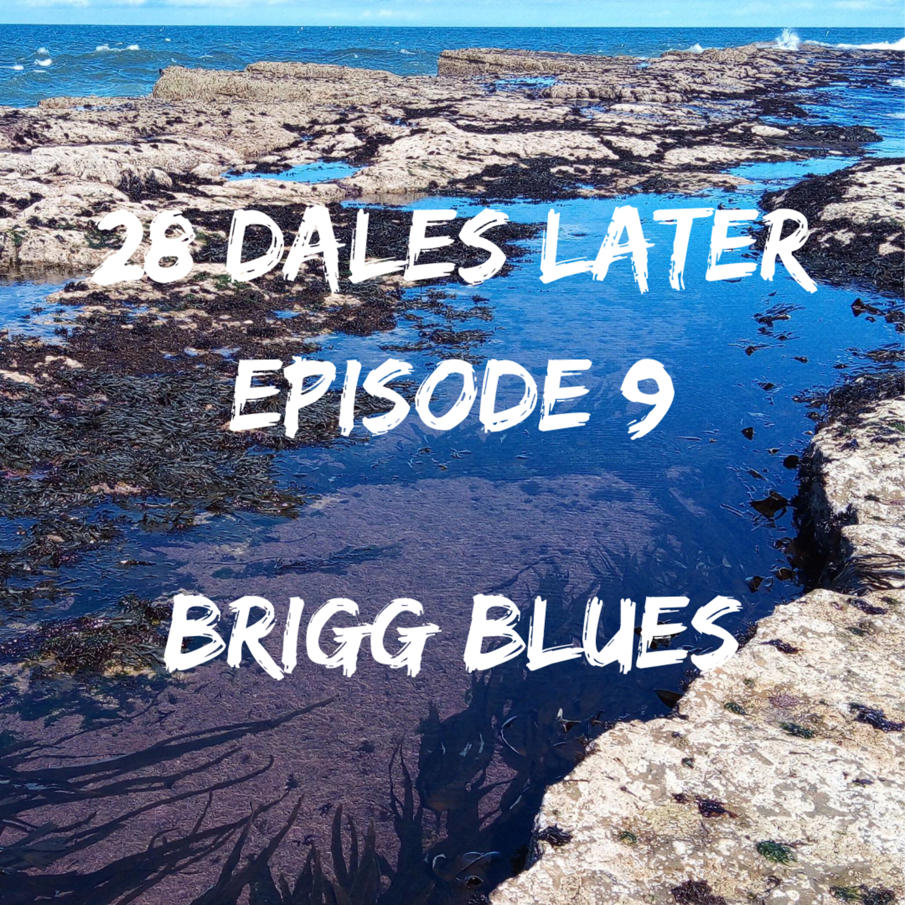28 Dales Later