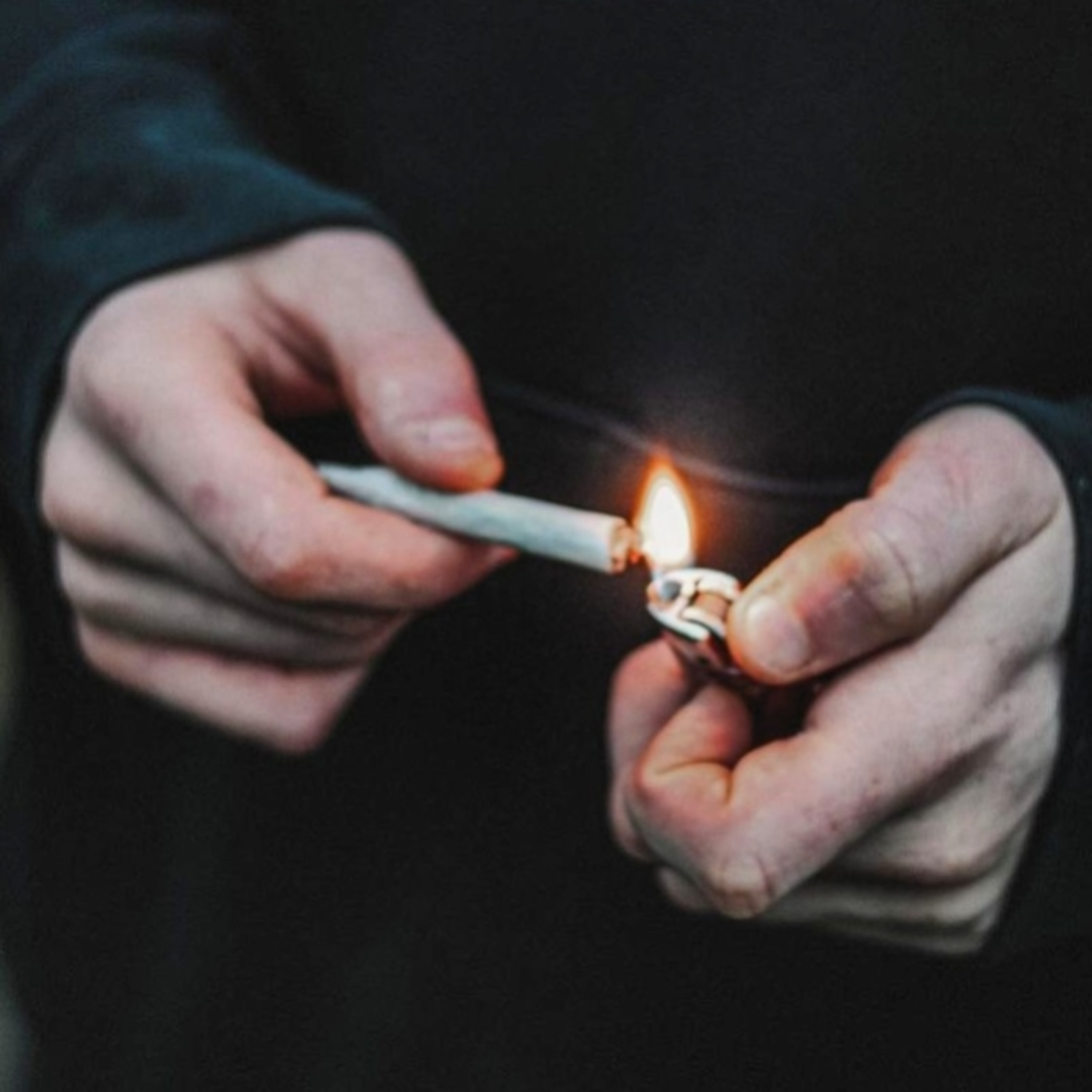 Editor's Notes - E10 - Cannabis Conferences & Expos 2022 episode artwork