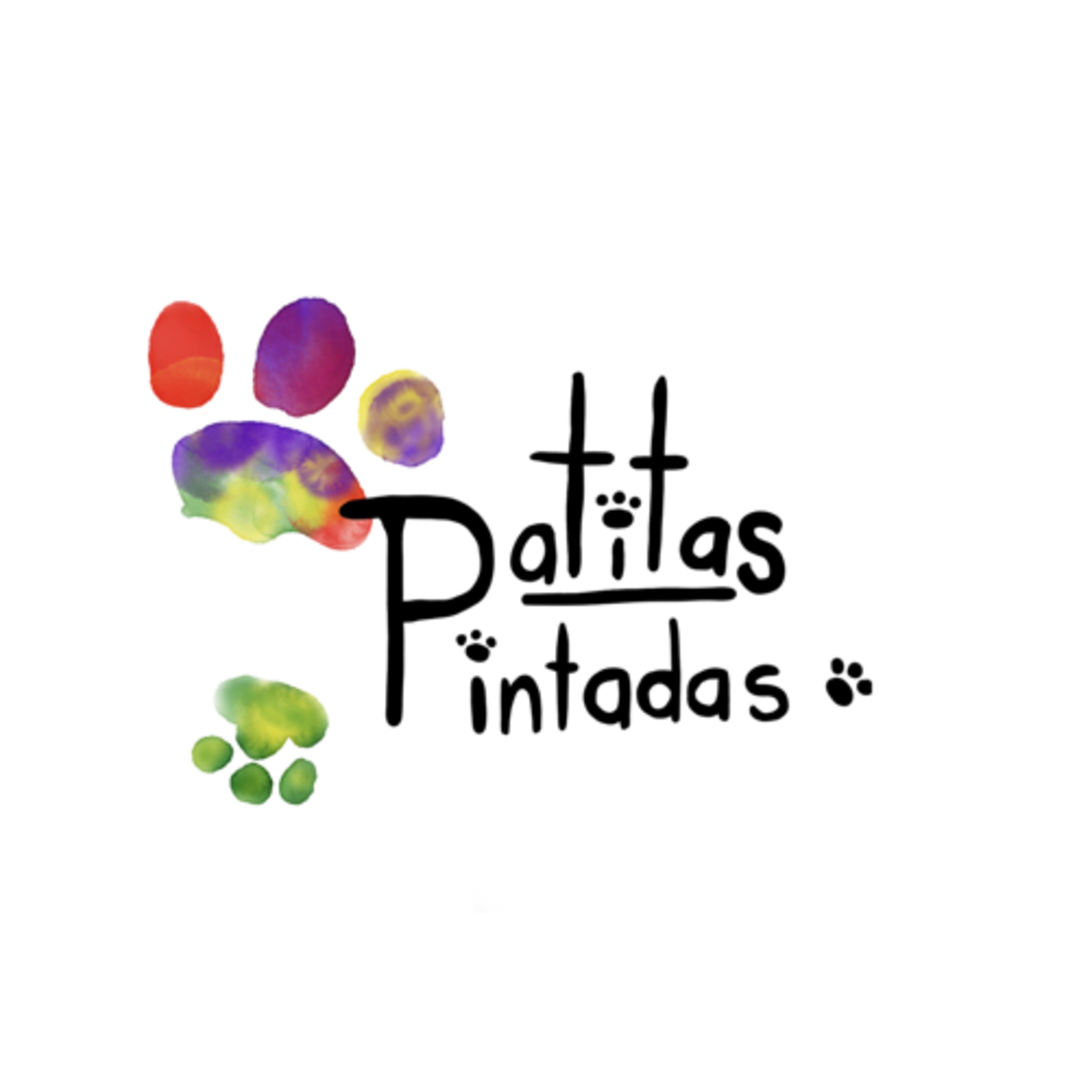 Capítulo 01 Informe entrevista