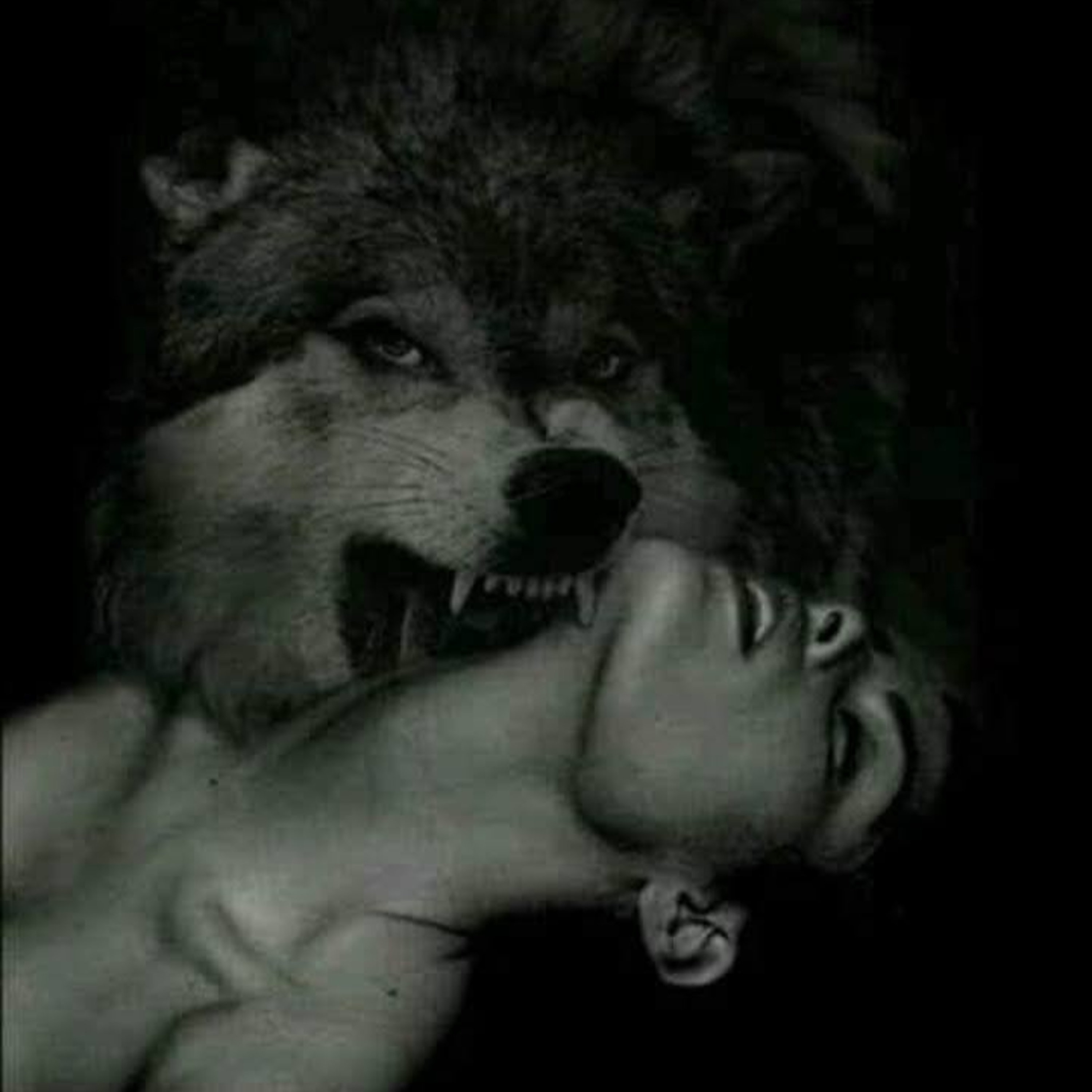 The Burning Bridges Show