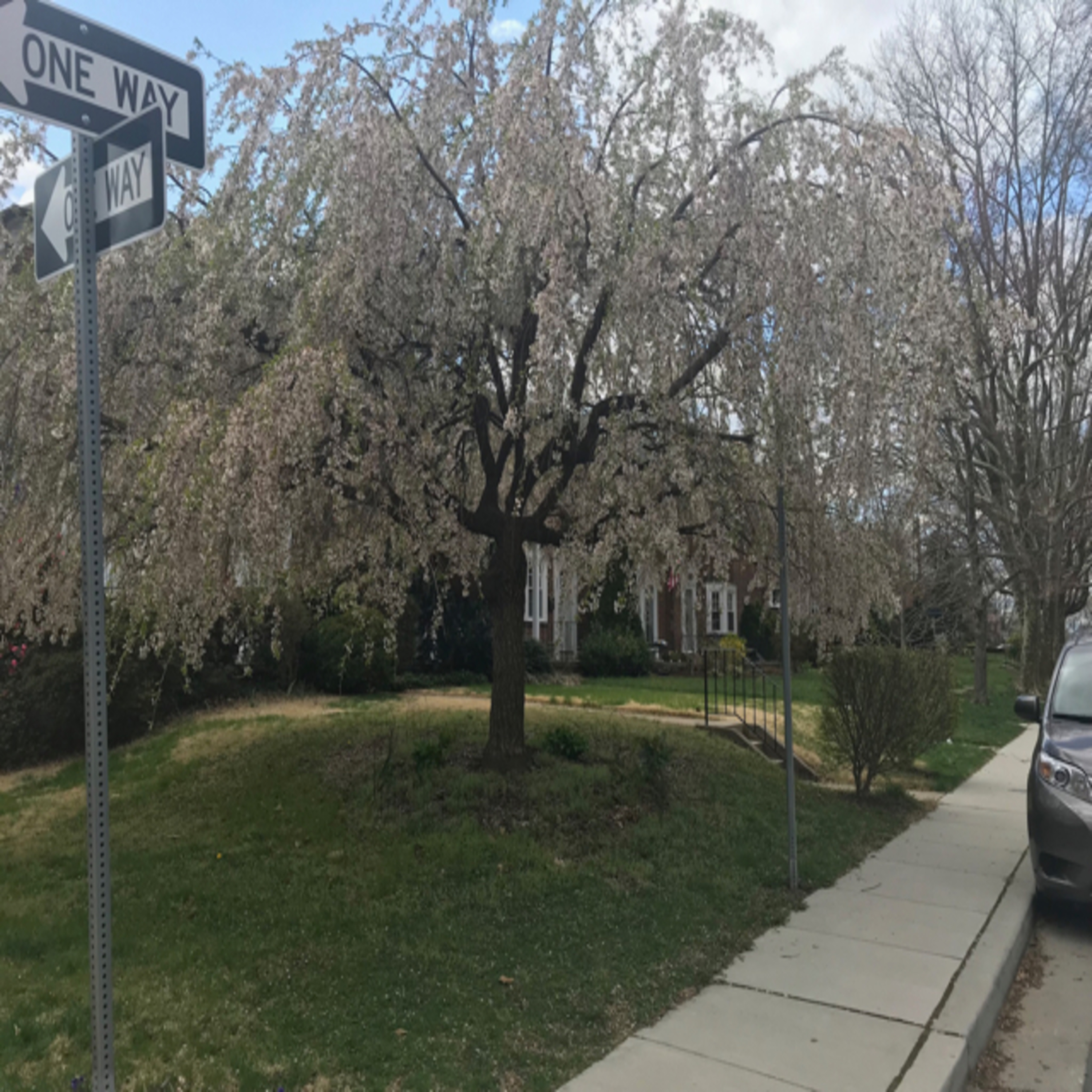 Stories Out Loud (for students who struggle with visual reading)