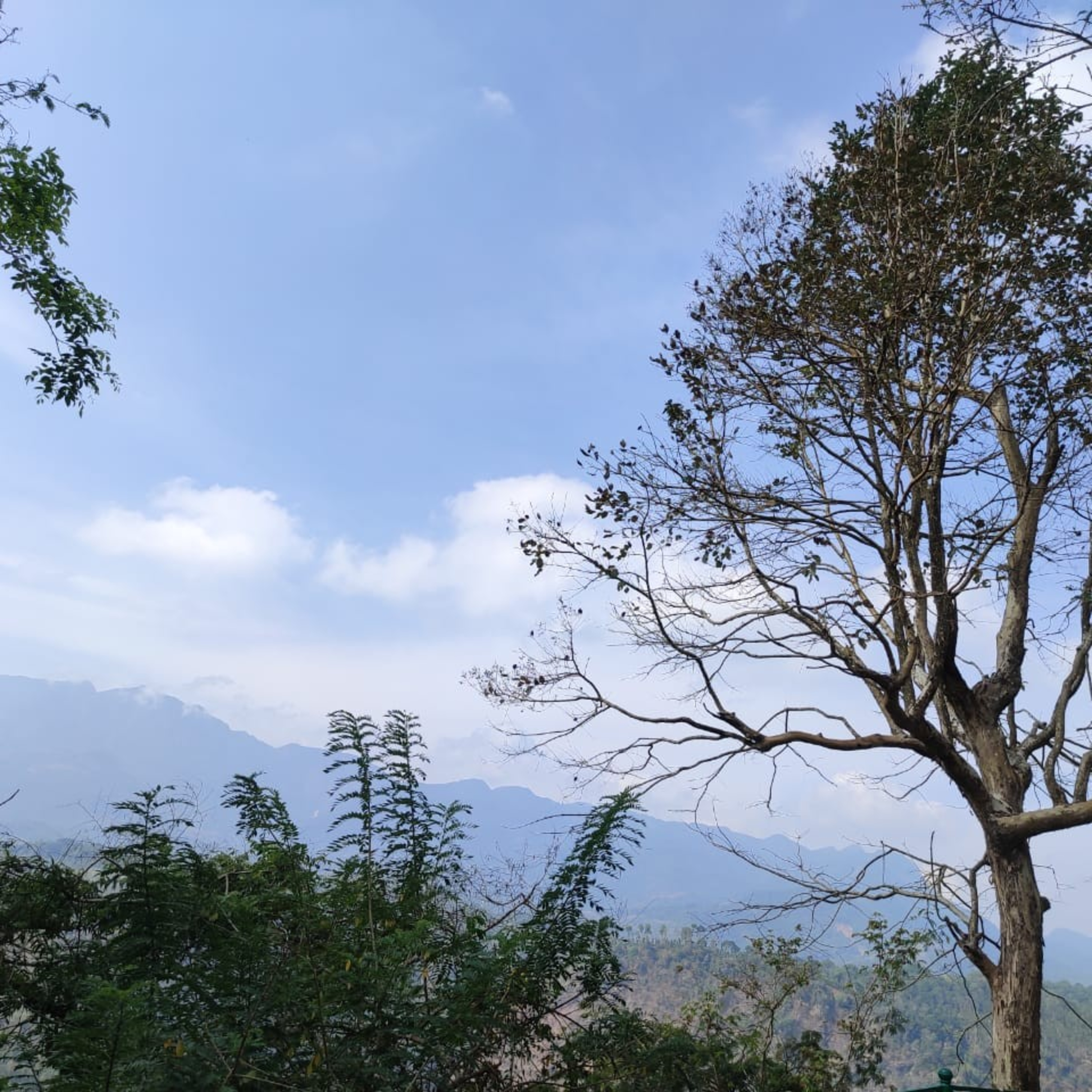 Sreelatha