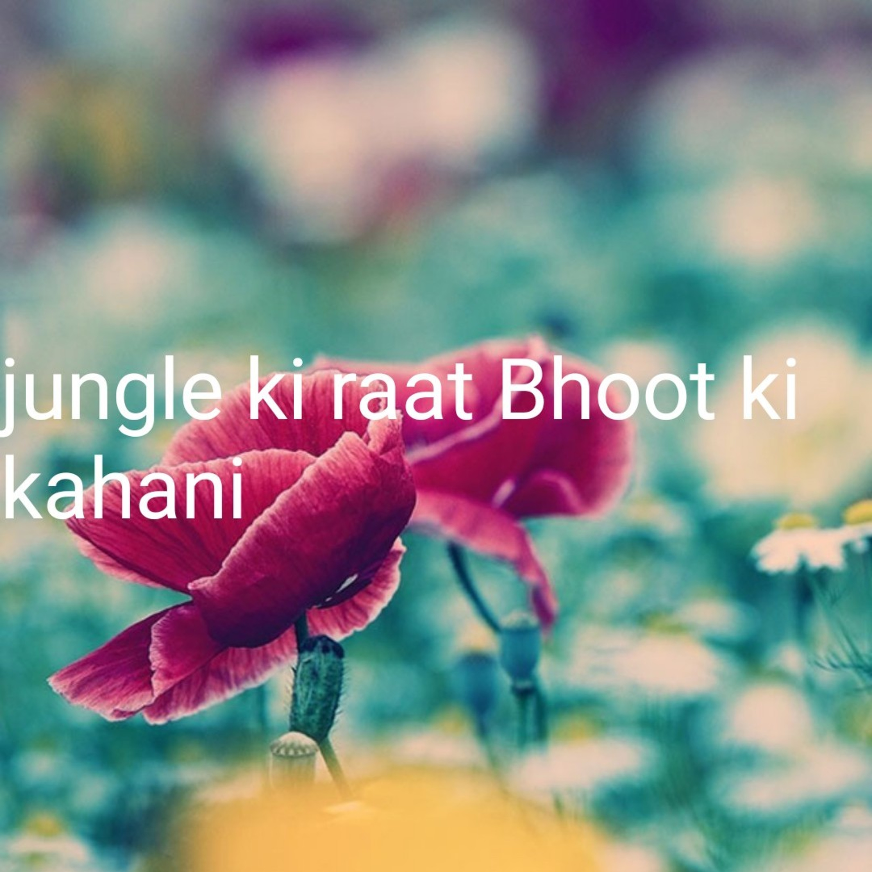 Timepass Ki Duniya