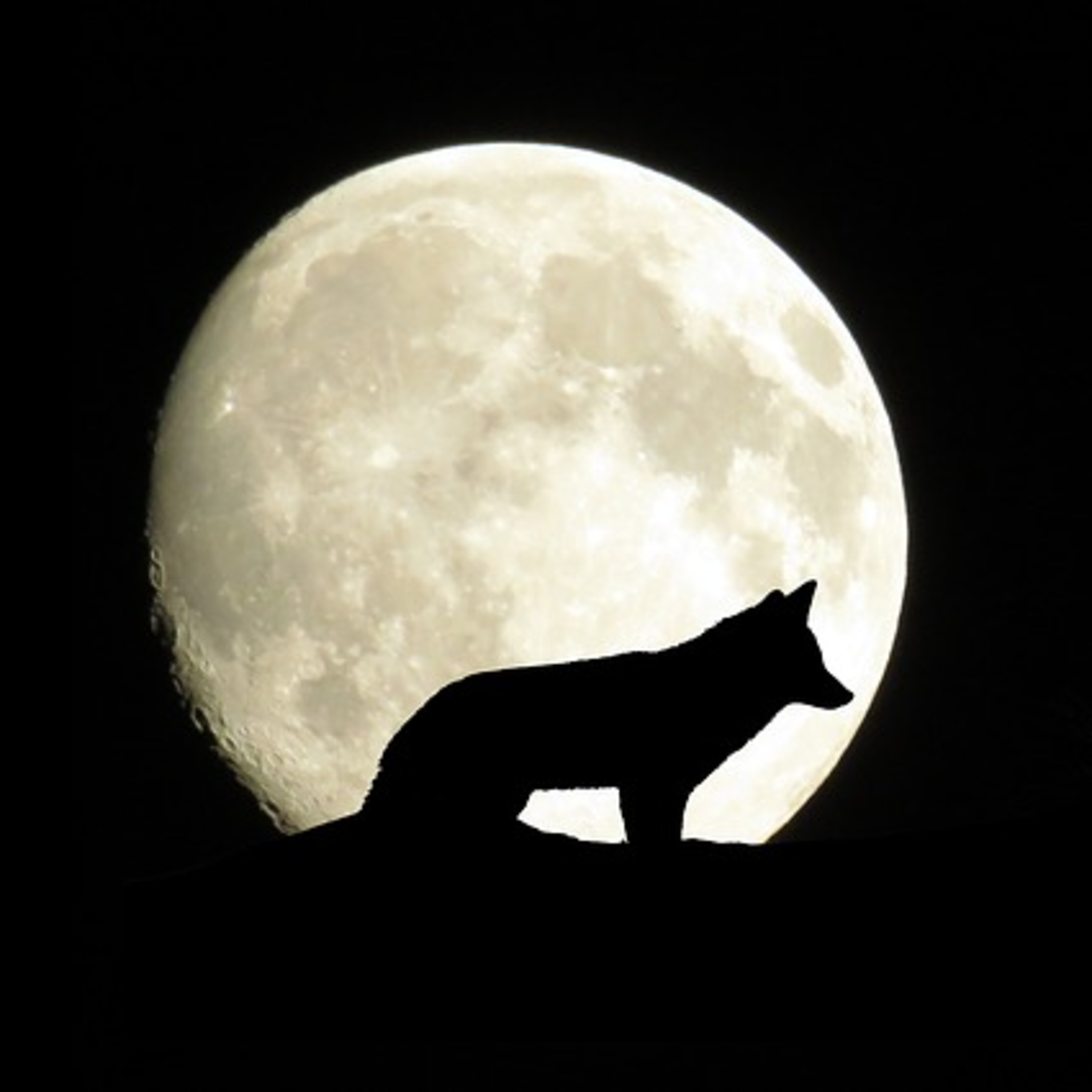 Evolução - Astrologia Na Sua Língua