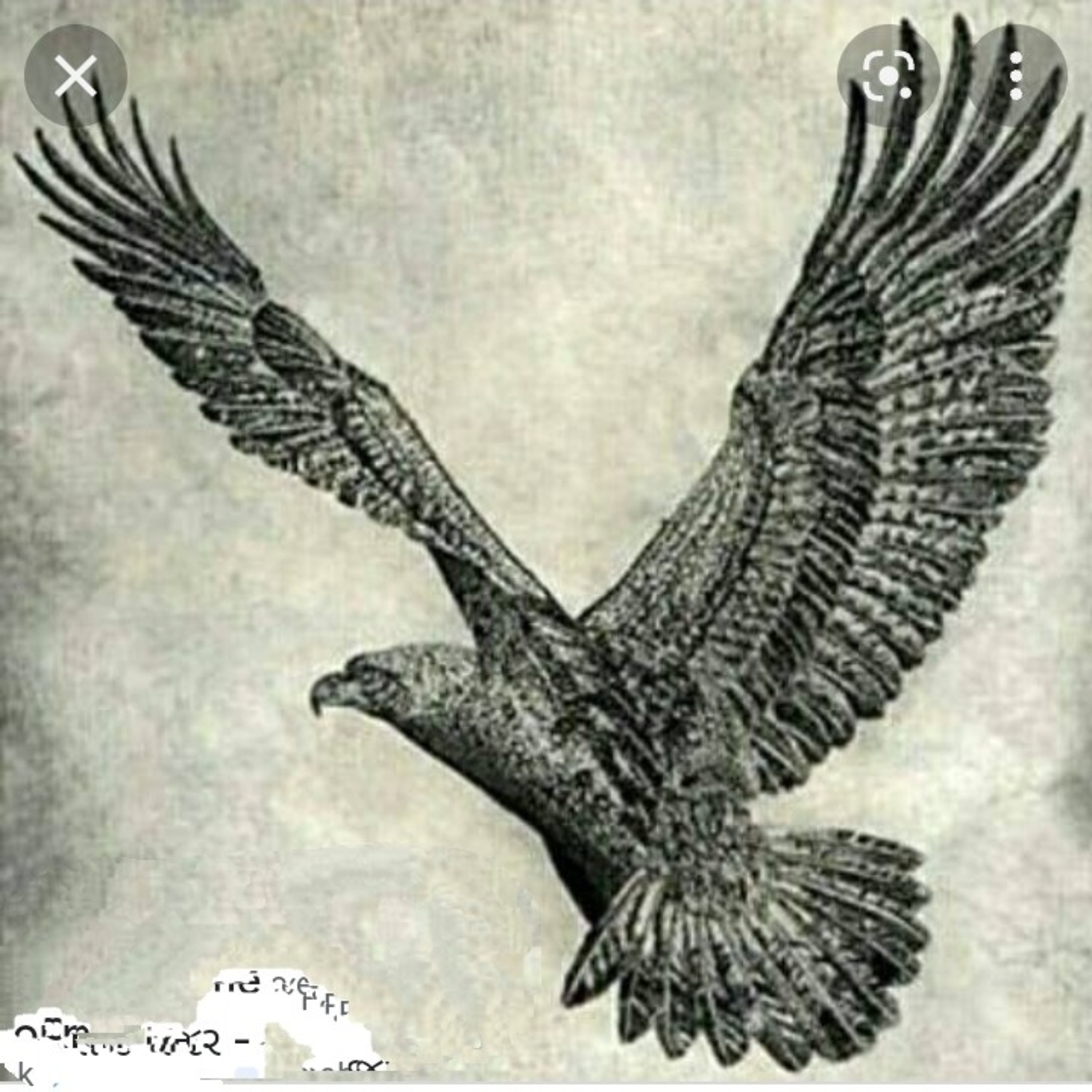 🦅મનોવલણ -એટીટયુડનુ મહત્વ 🌄 episode artwork