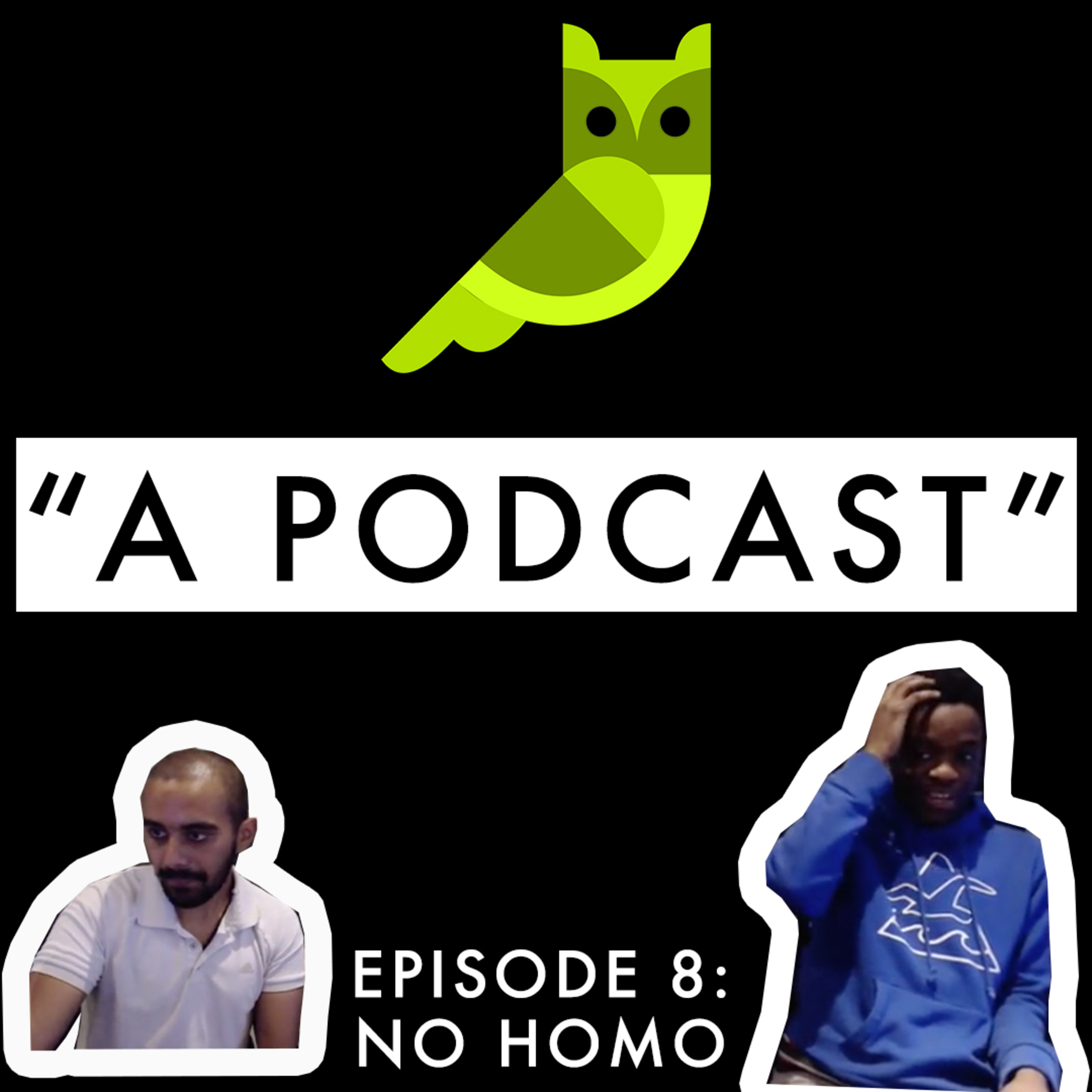 Episode 8: No Homo episode artwork