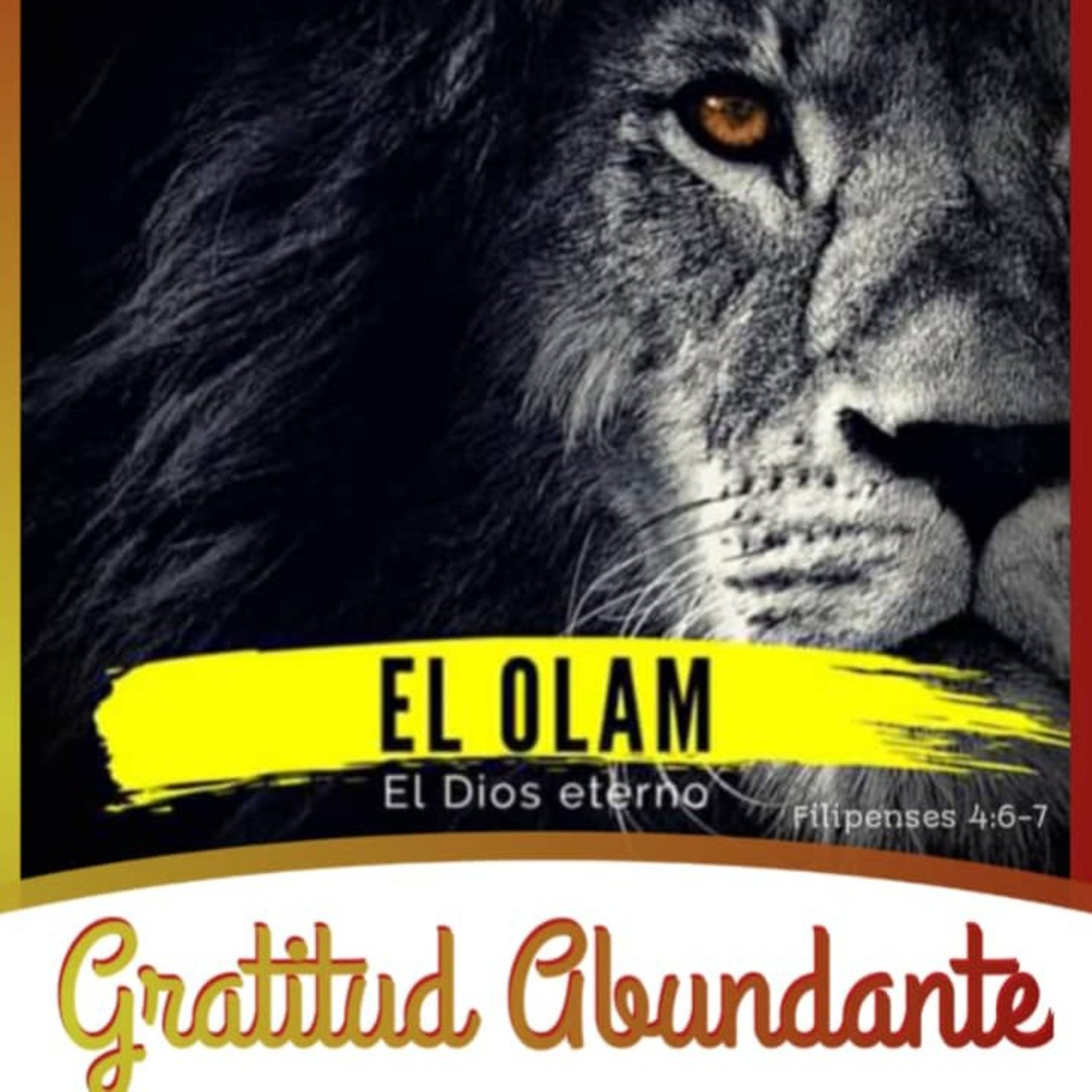 Portada de Conoce a Infinito Amor