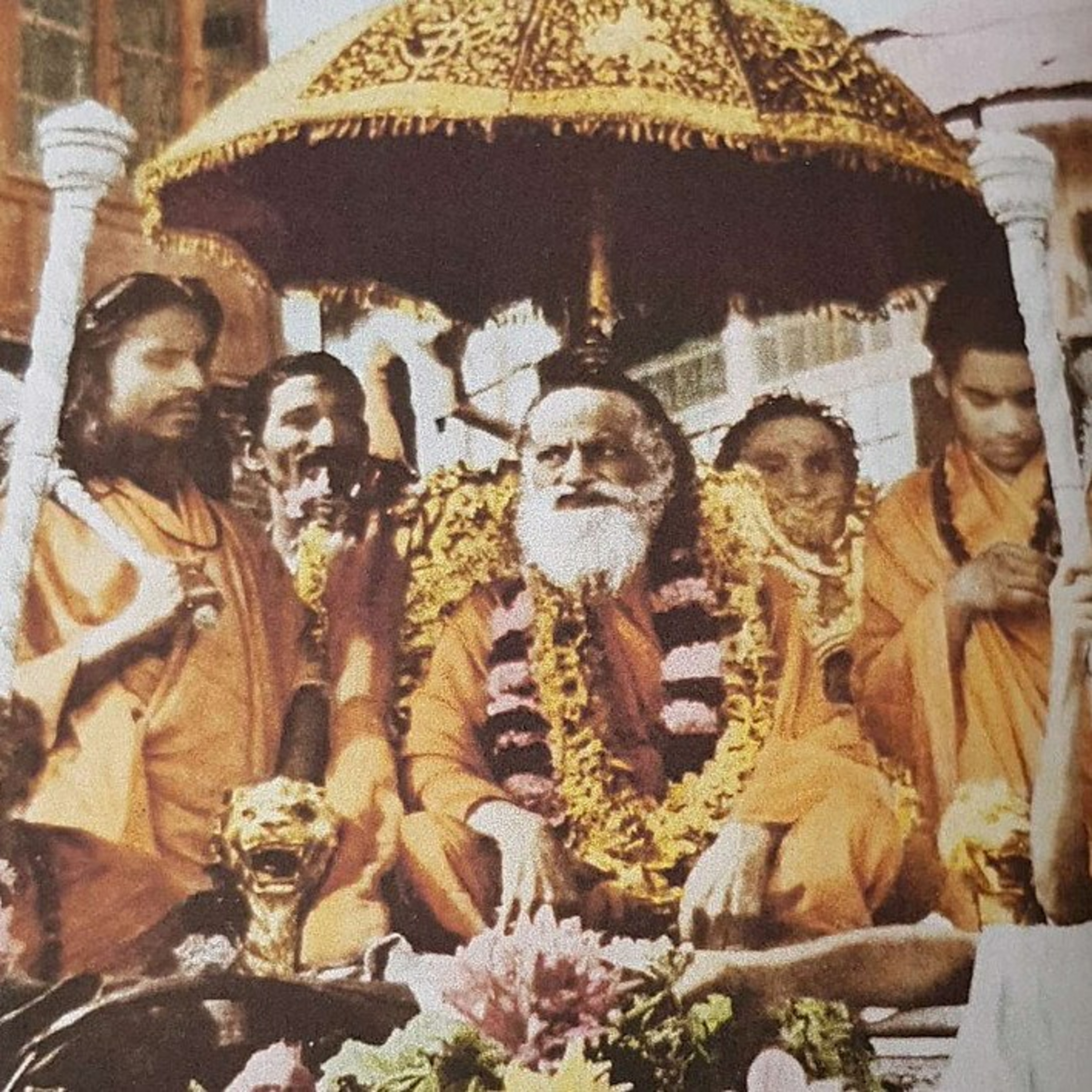 استاد episode artwork