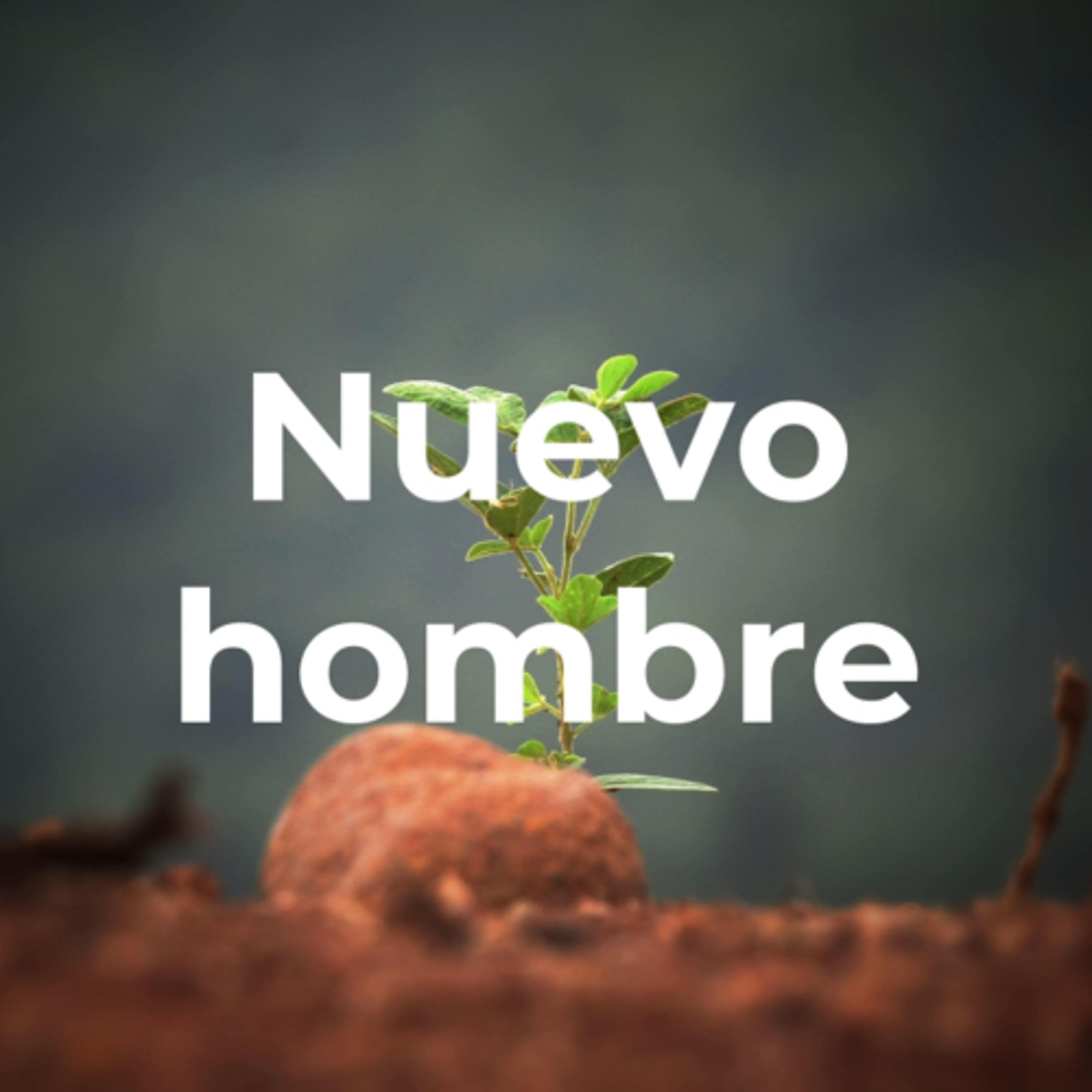 Devocional Diario