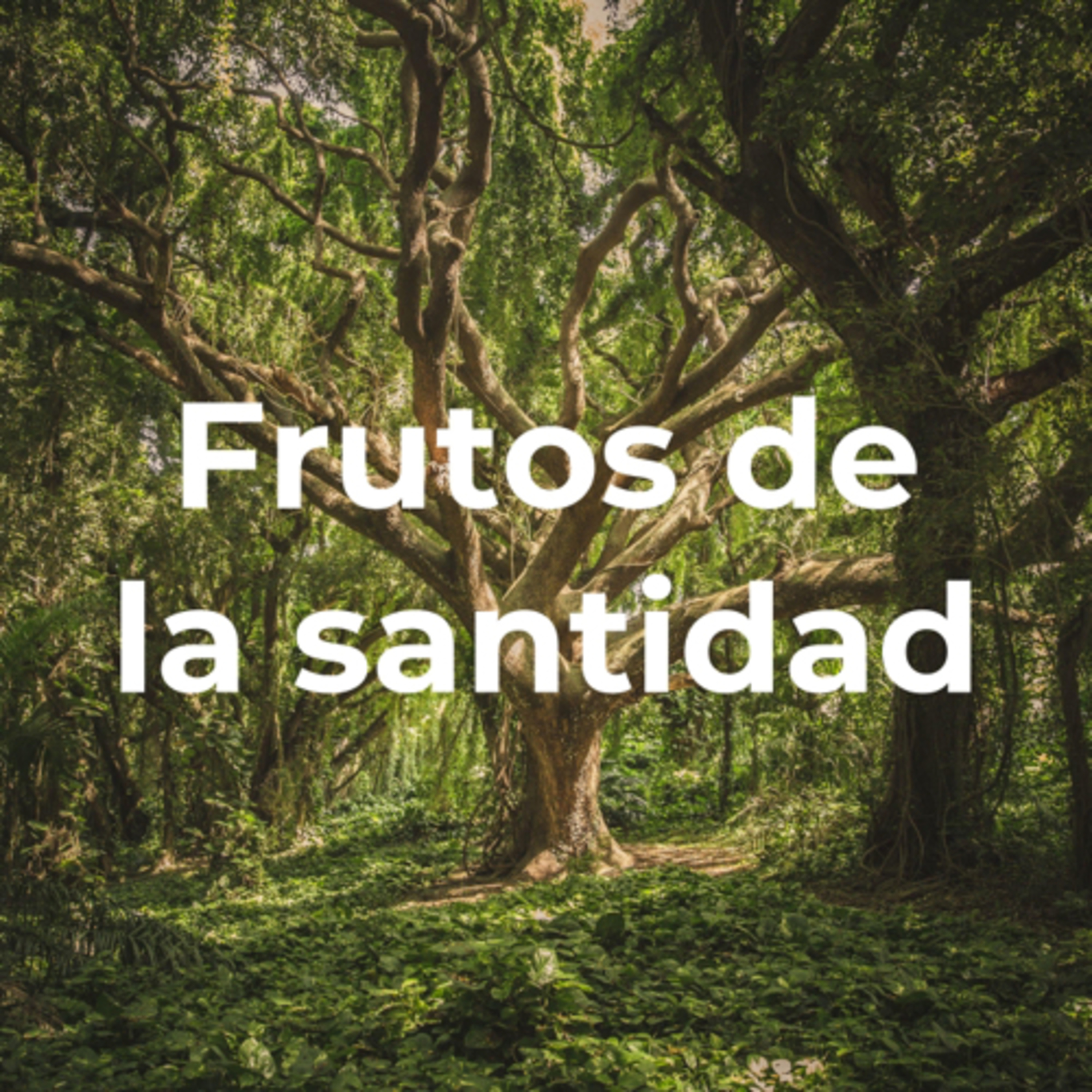 Devocional Diario
