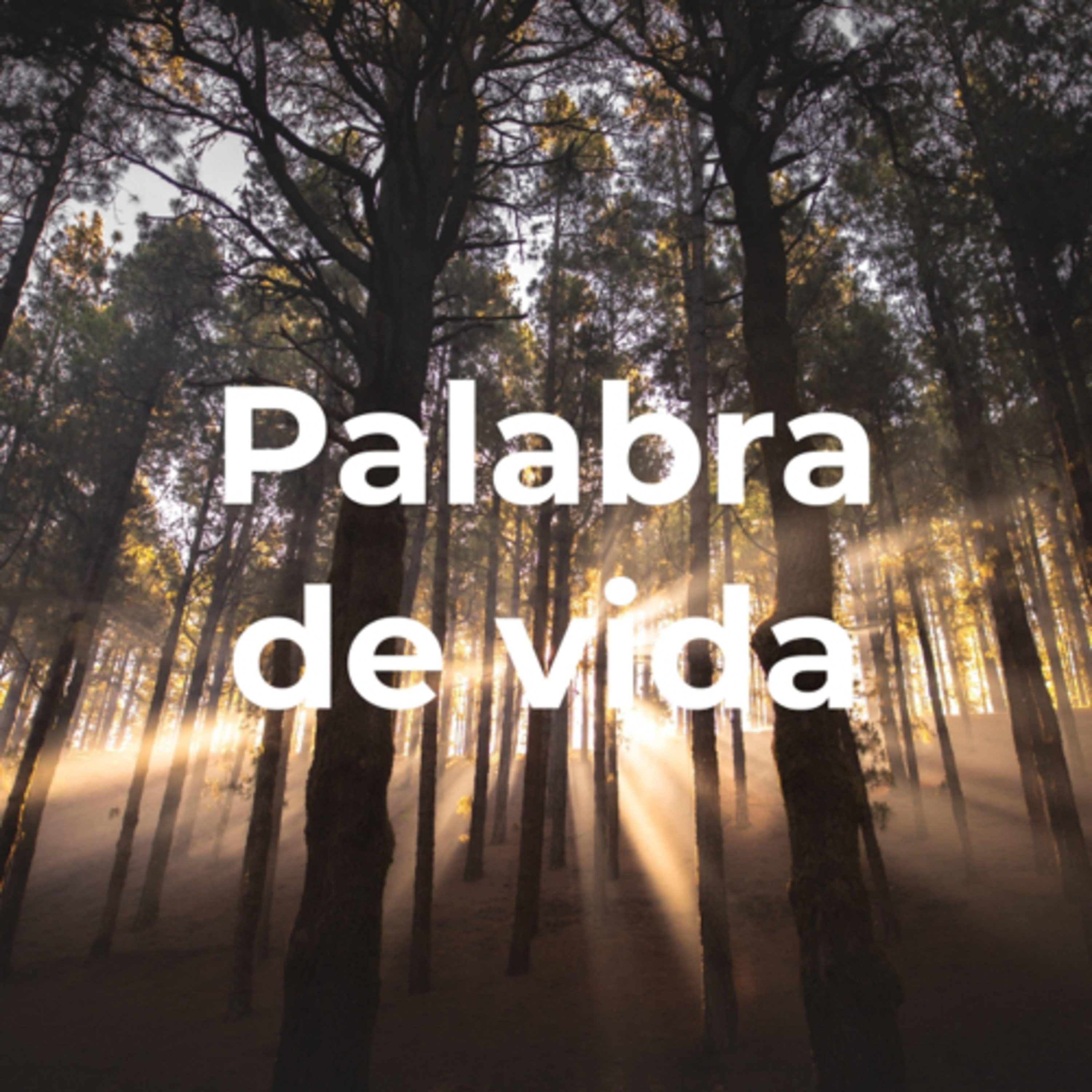 Devocional Diario