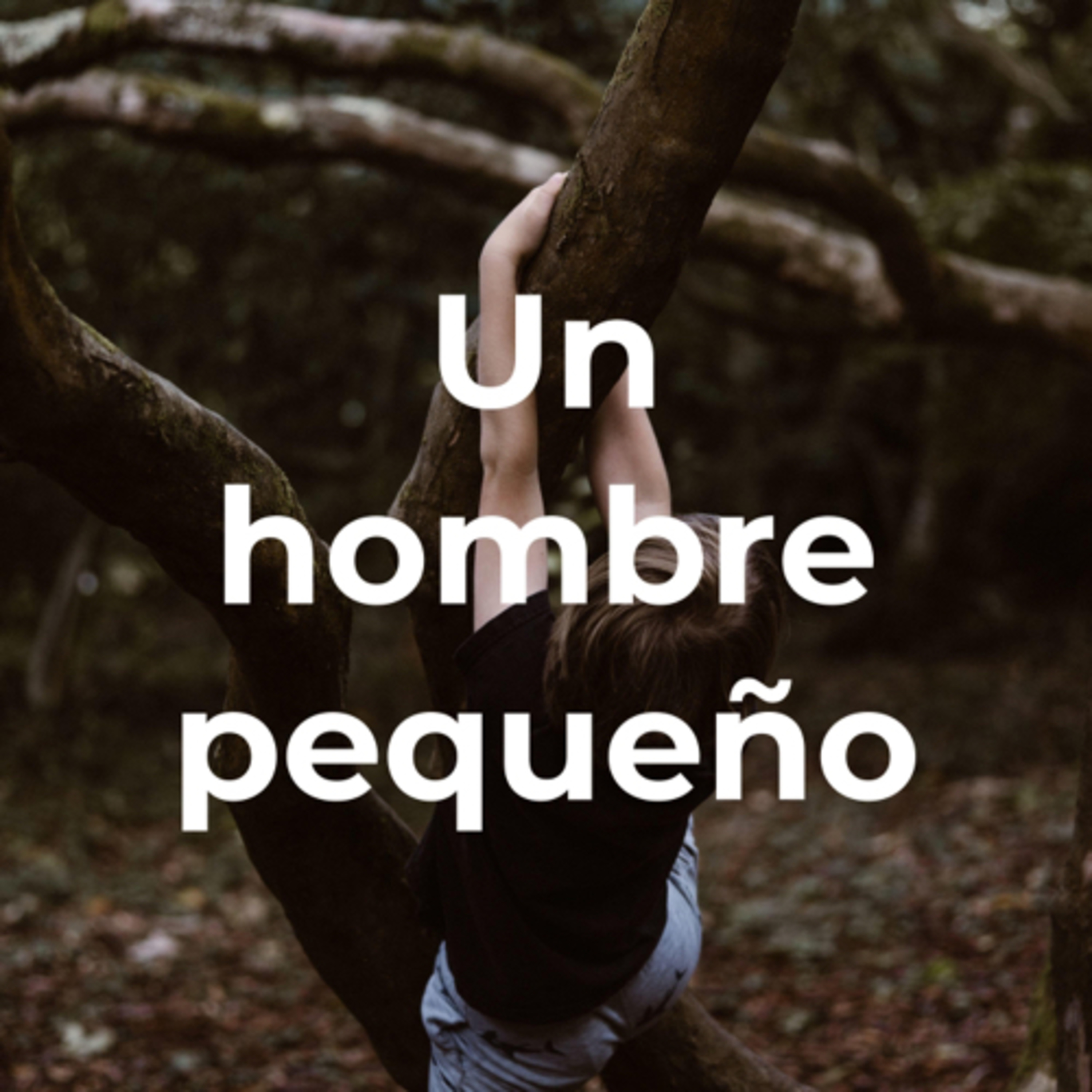 Devocional Diario