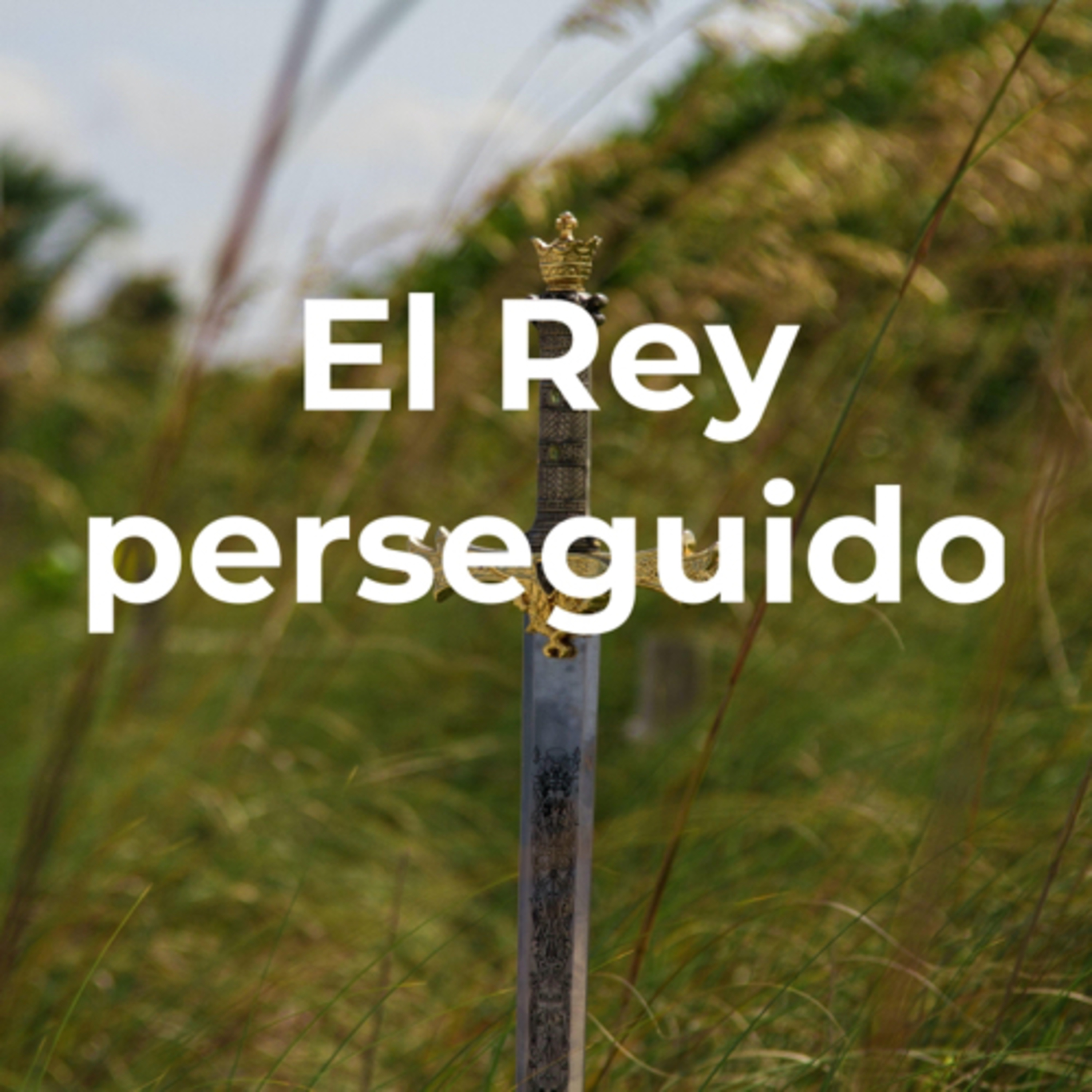 Devocional Diario