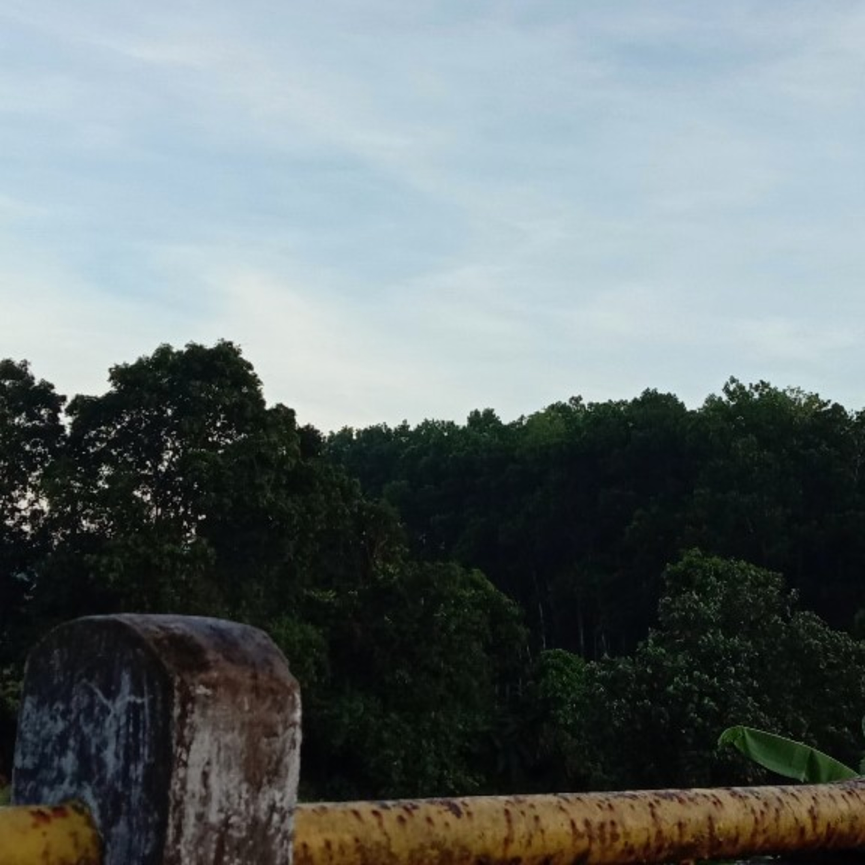 BERCERITA TENTANG KITA