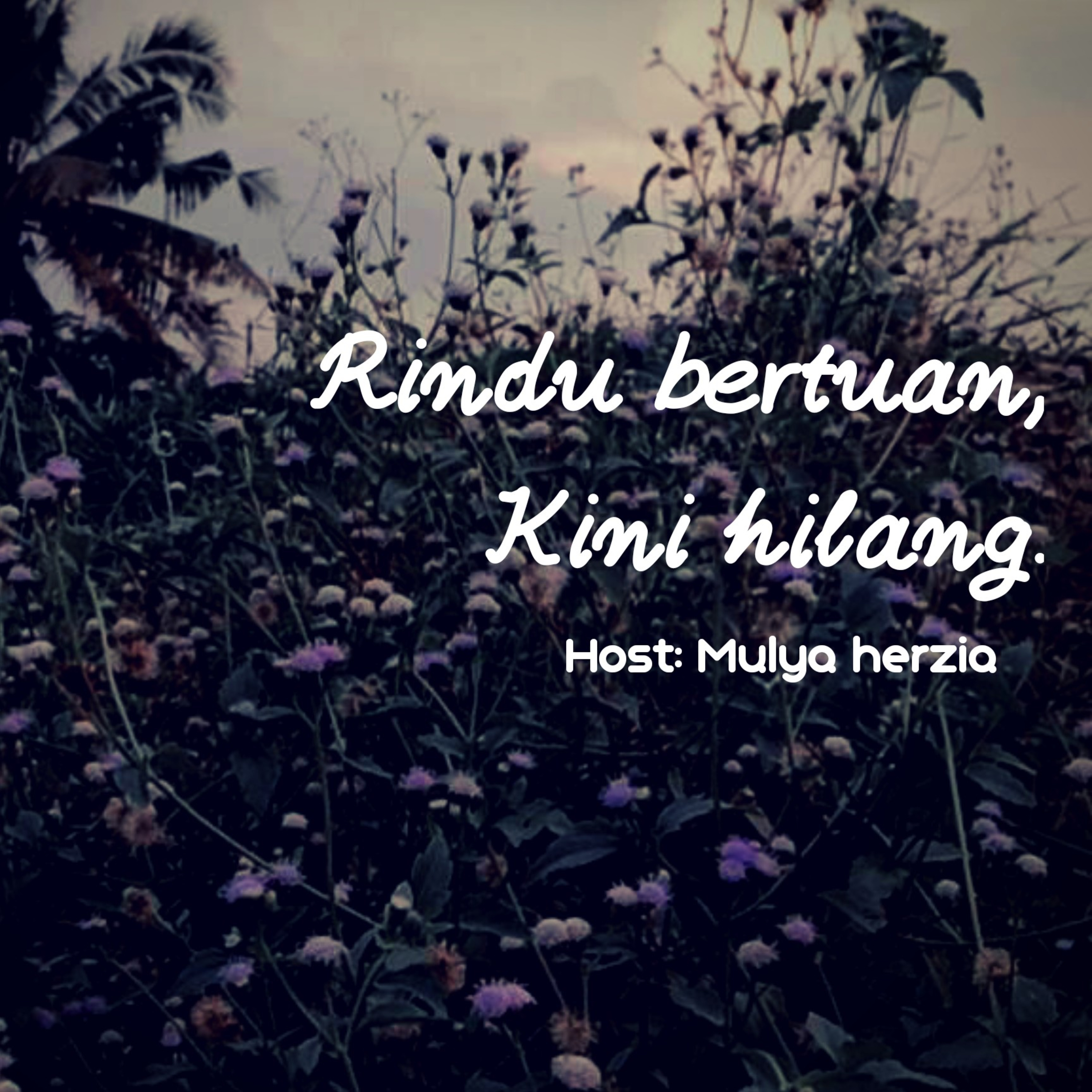 BERCERITA TENTANG KITA