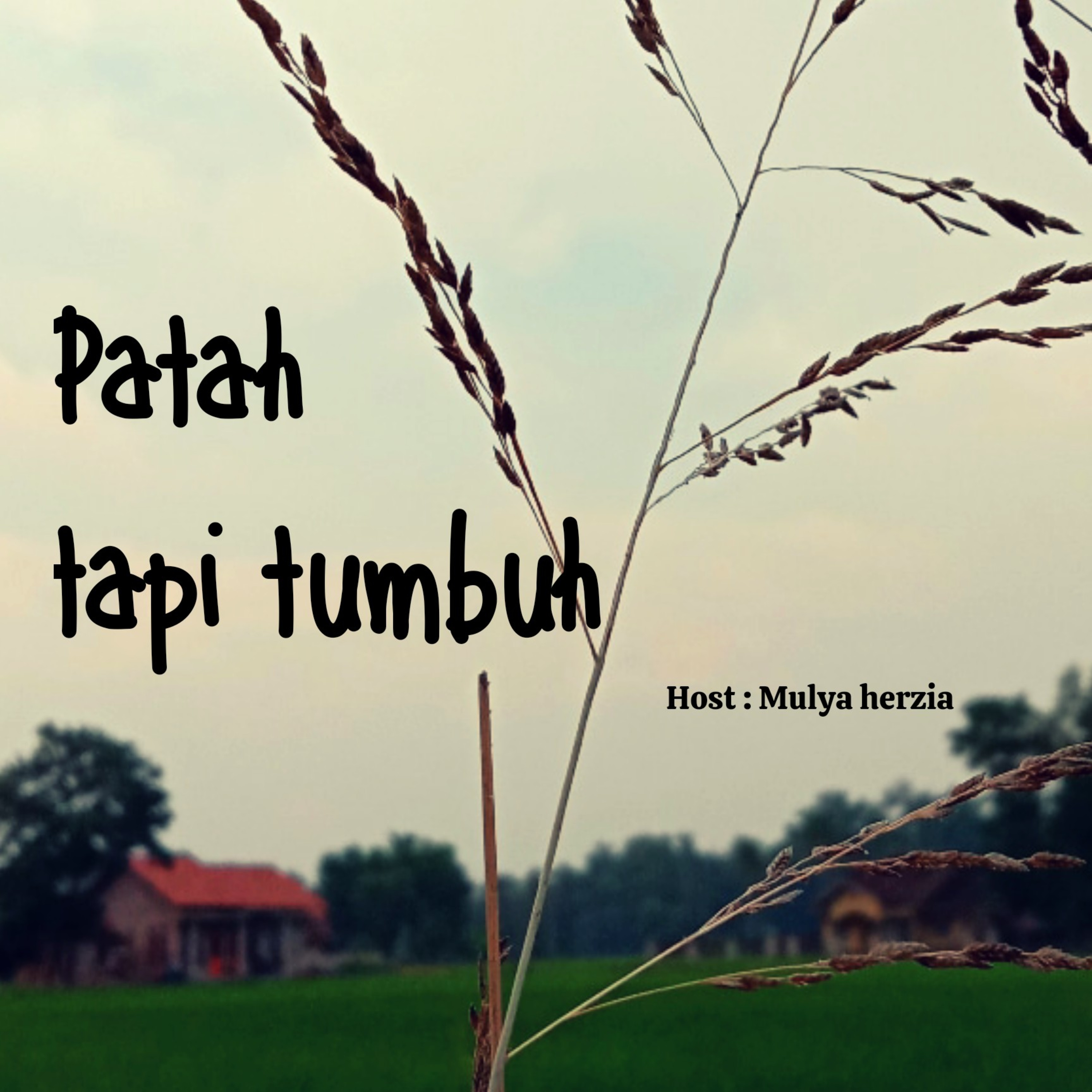 BERCERITA TENTANG KITA