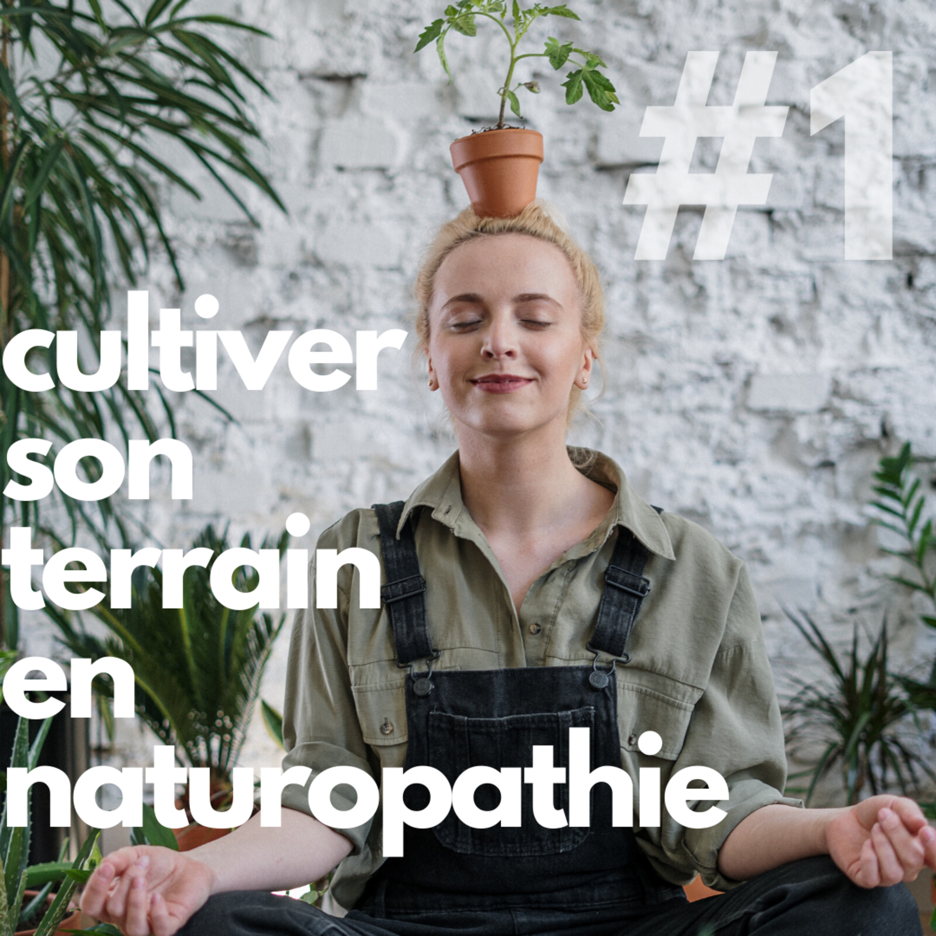 #1 Cultiver son terrain en naturopathie