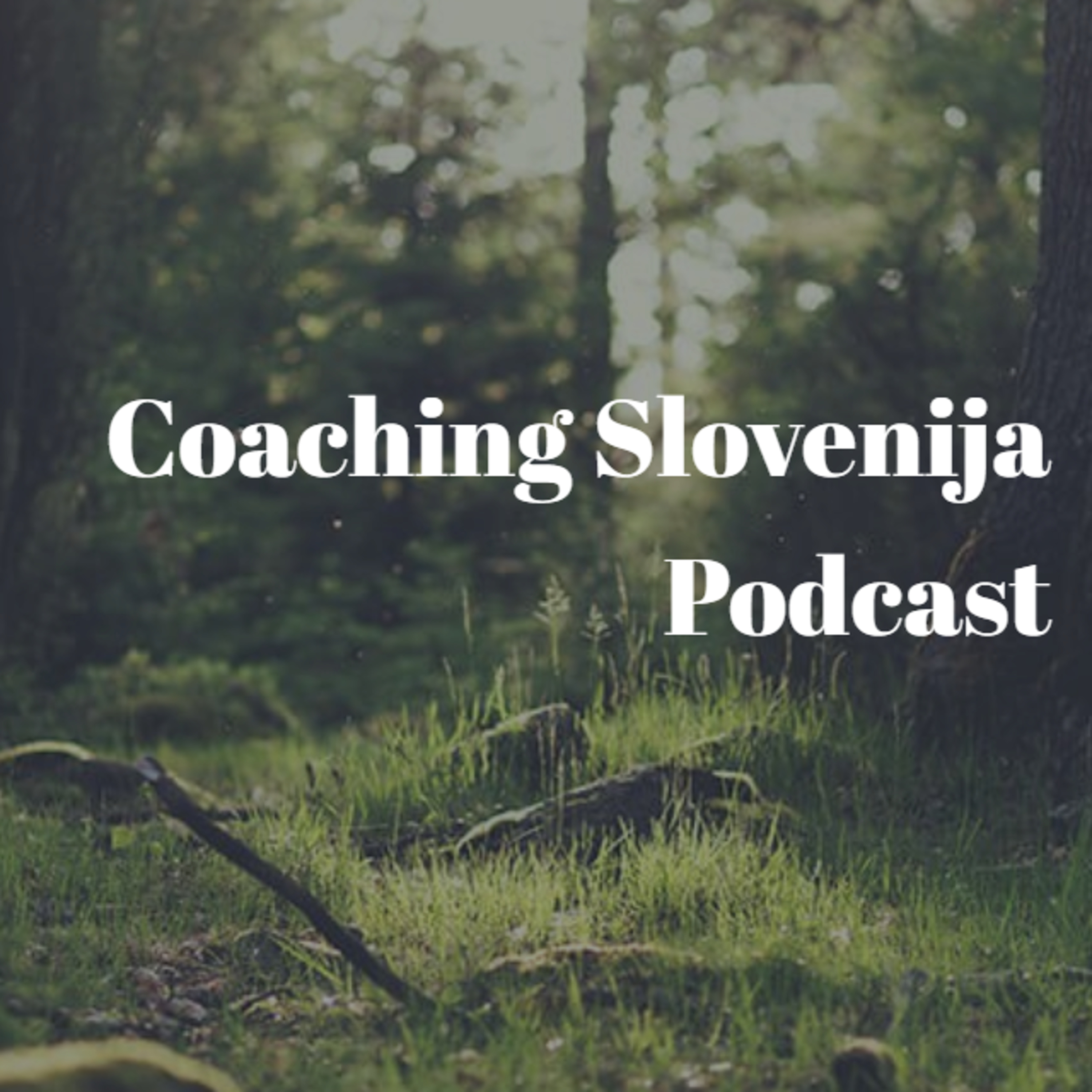 Čudežno vprašanje - Coaching orodja - Vodena Meditacija - Vizualizacija Čudežno vprašanje - Coaching orodja - Vodena Meditacija - Vizualizacija