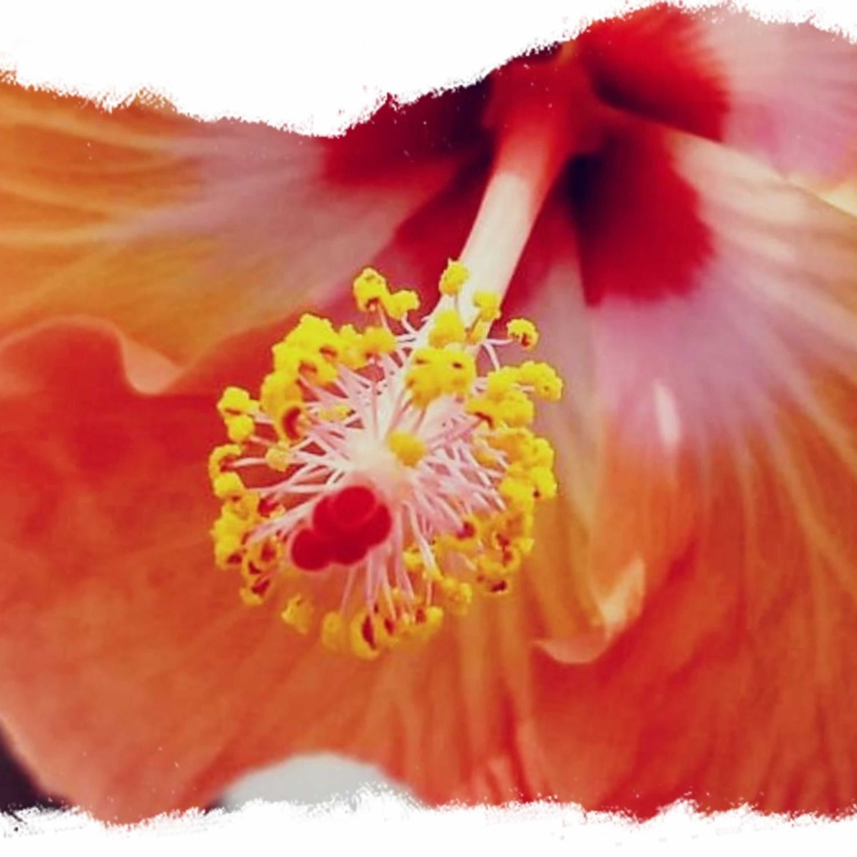Summery: Rajyog: Swami Vivekananda  episode artwork