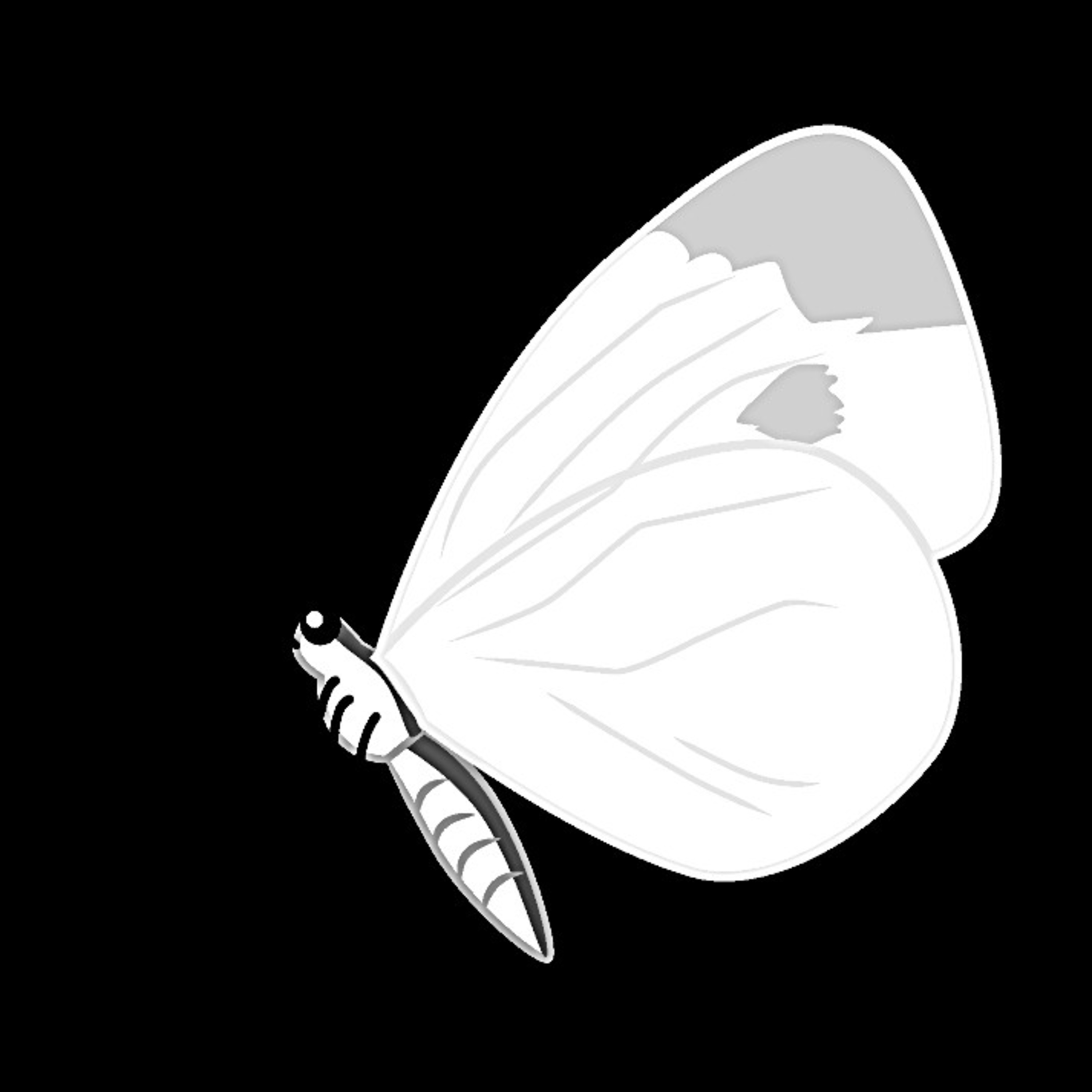 Blanca Mariposa