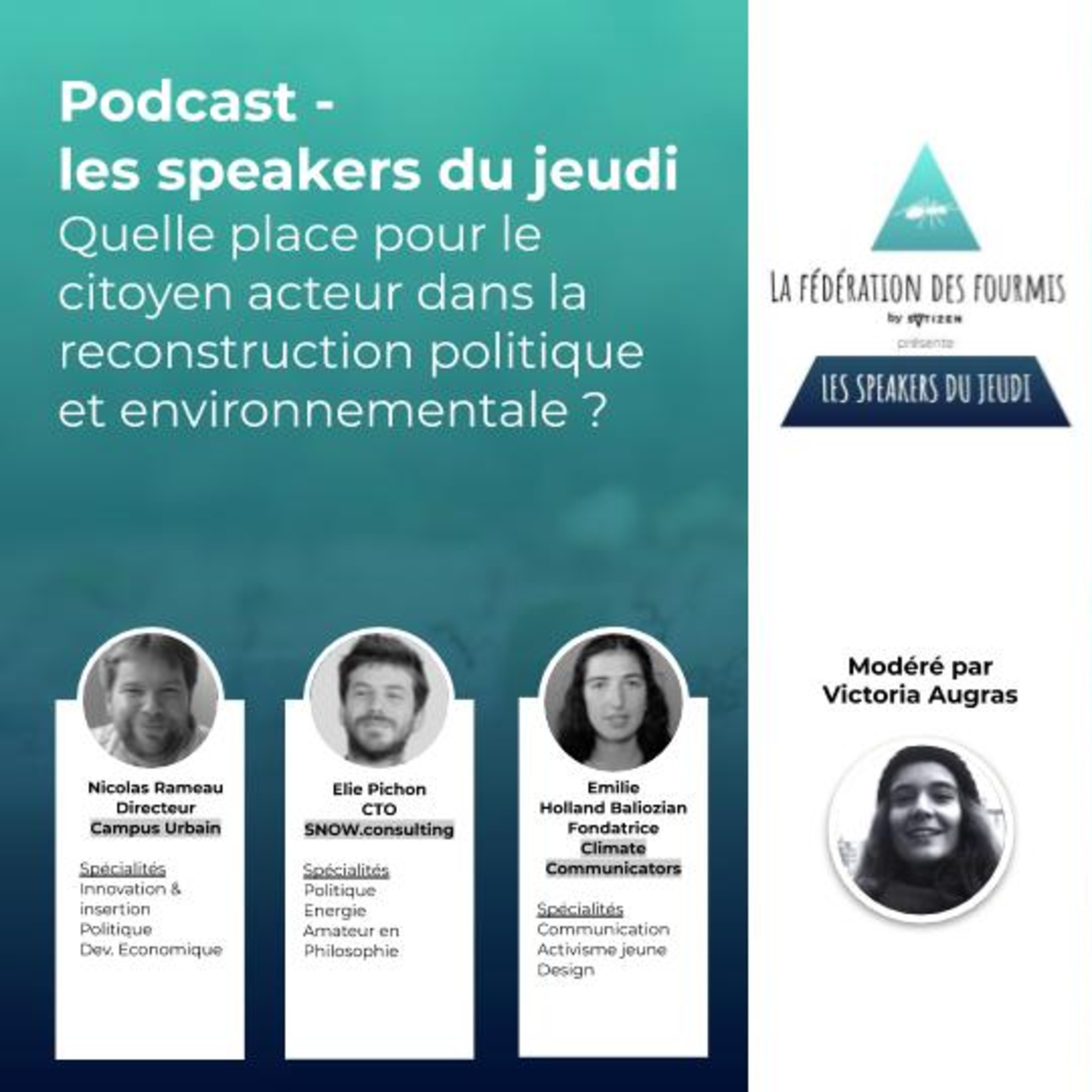 Fédération des fourmis