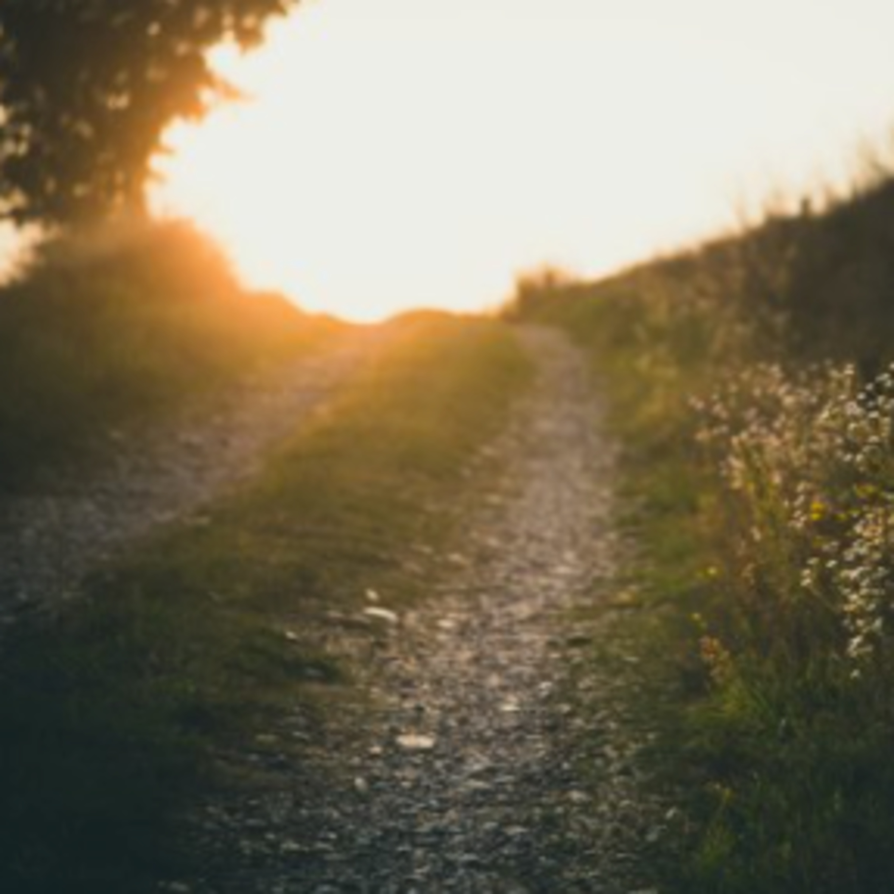 Ep 4: So What's The Solution? (4 of 4)