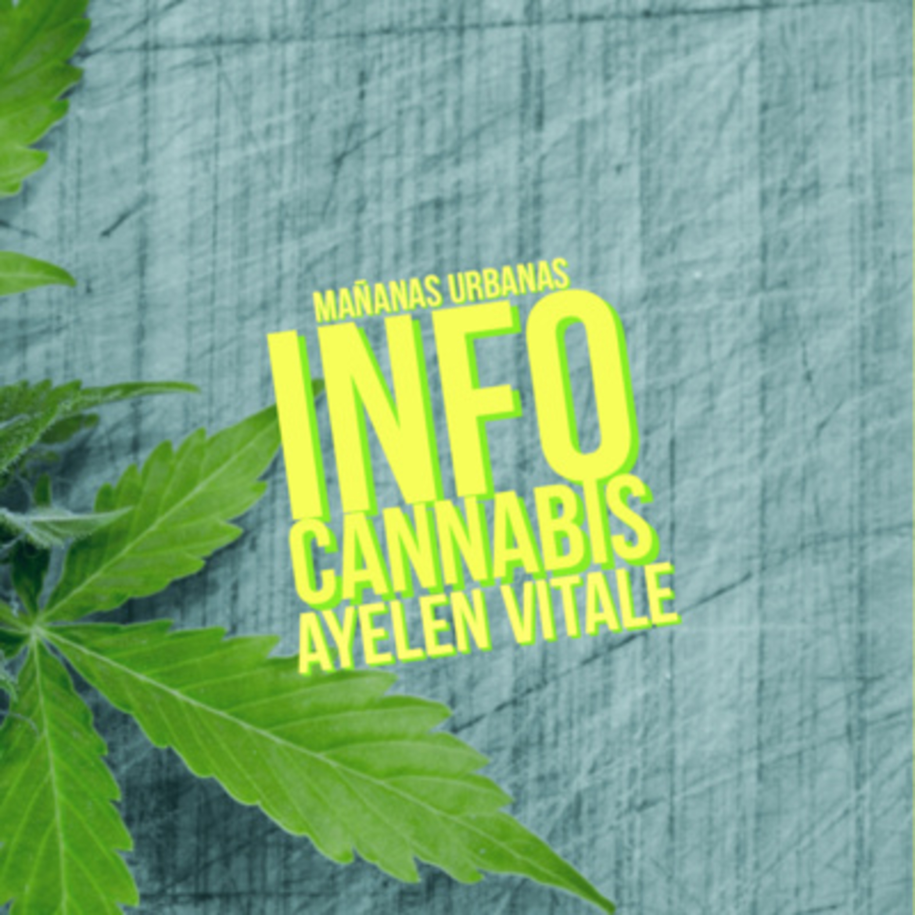 Infocannabis - INTA avanza en la investigación sobre cannabis medicinal