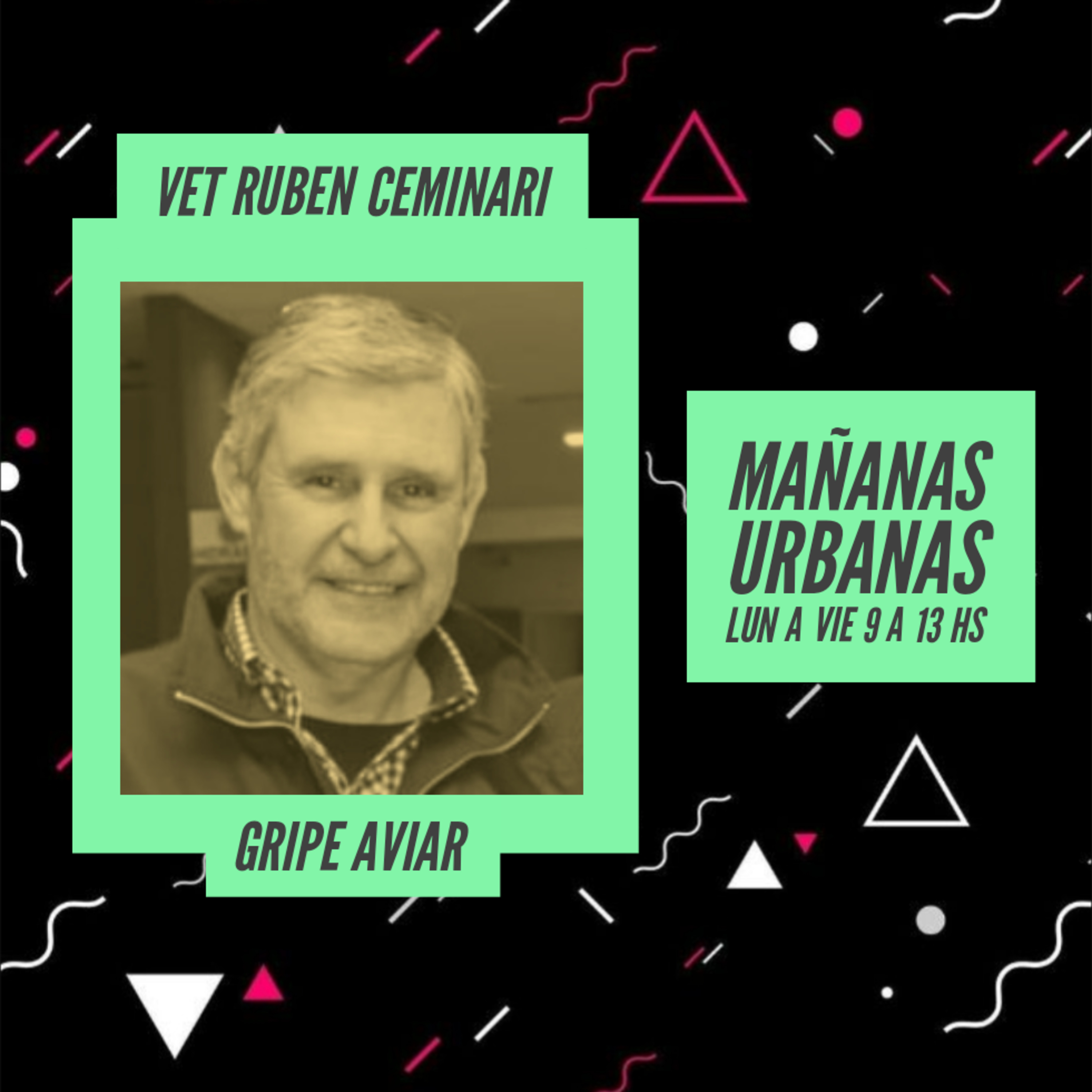 Veterinario Rubén Ceminari - La influenza aviar