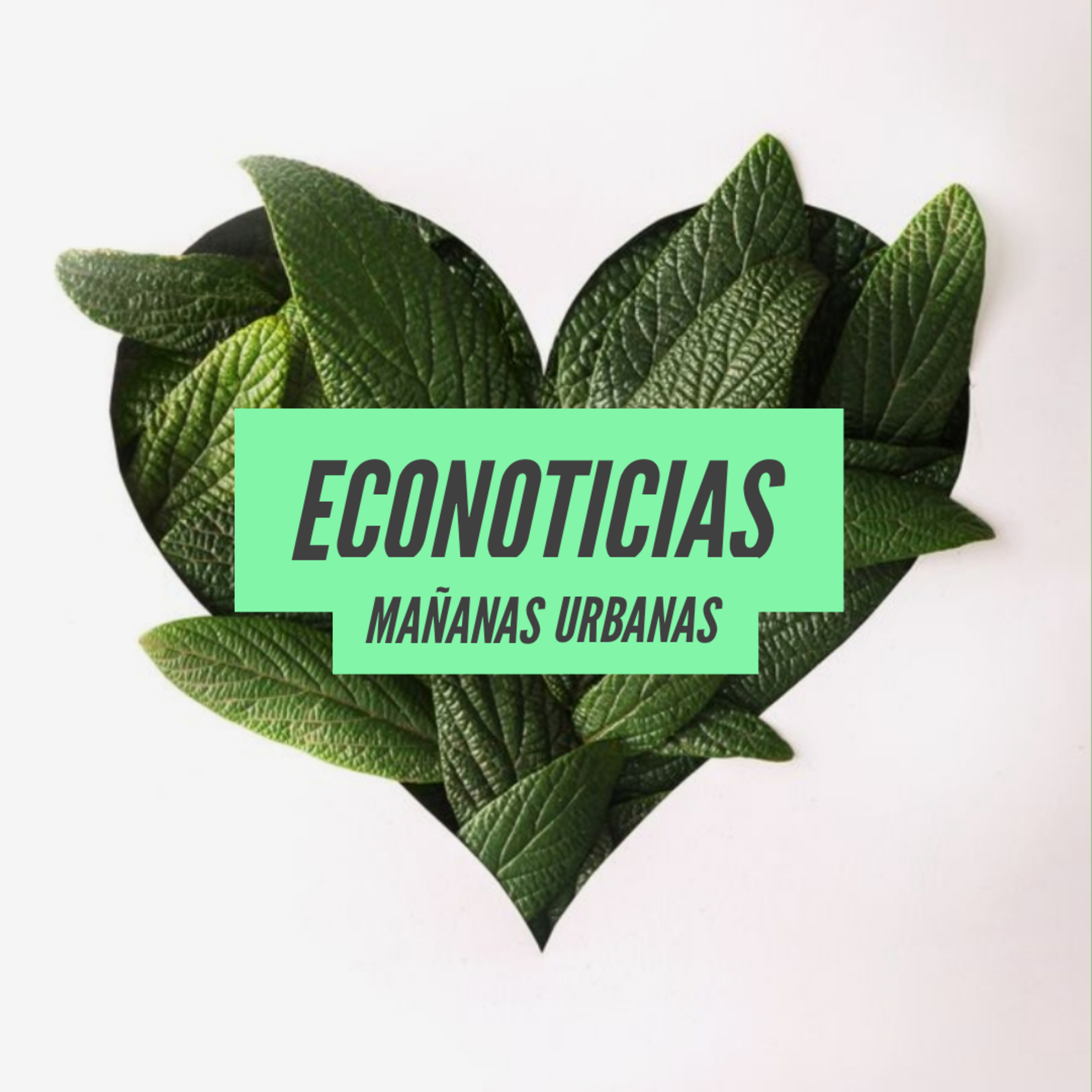 EcoNoticias - “Niveles récord” de contaminación con agrotóxicos en peces del Río Salado episode artwork
