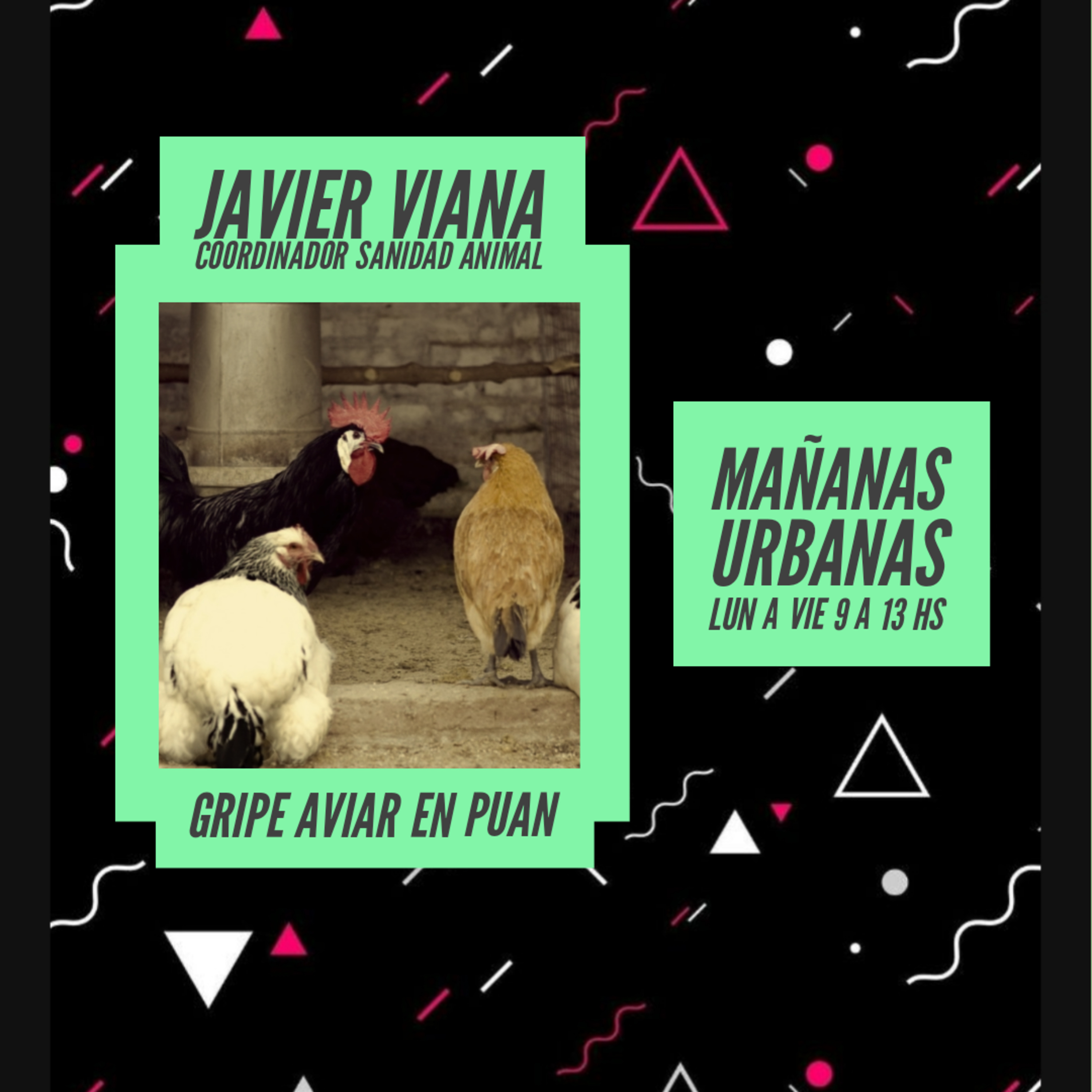 Javier Viana - Coordinador de Sanidad Animal de la Regional Sur  episode artwork