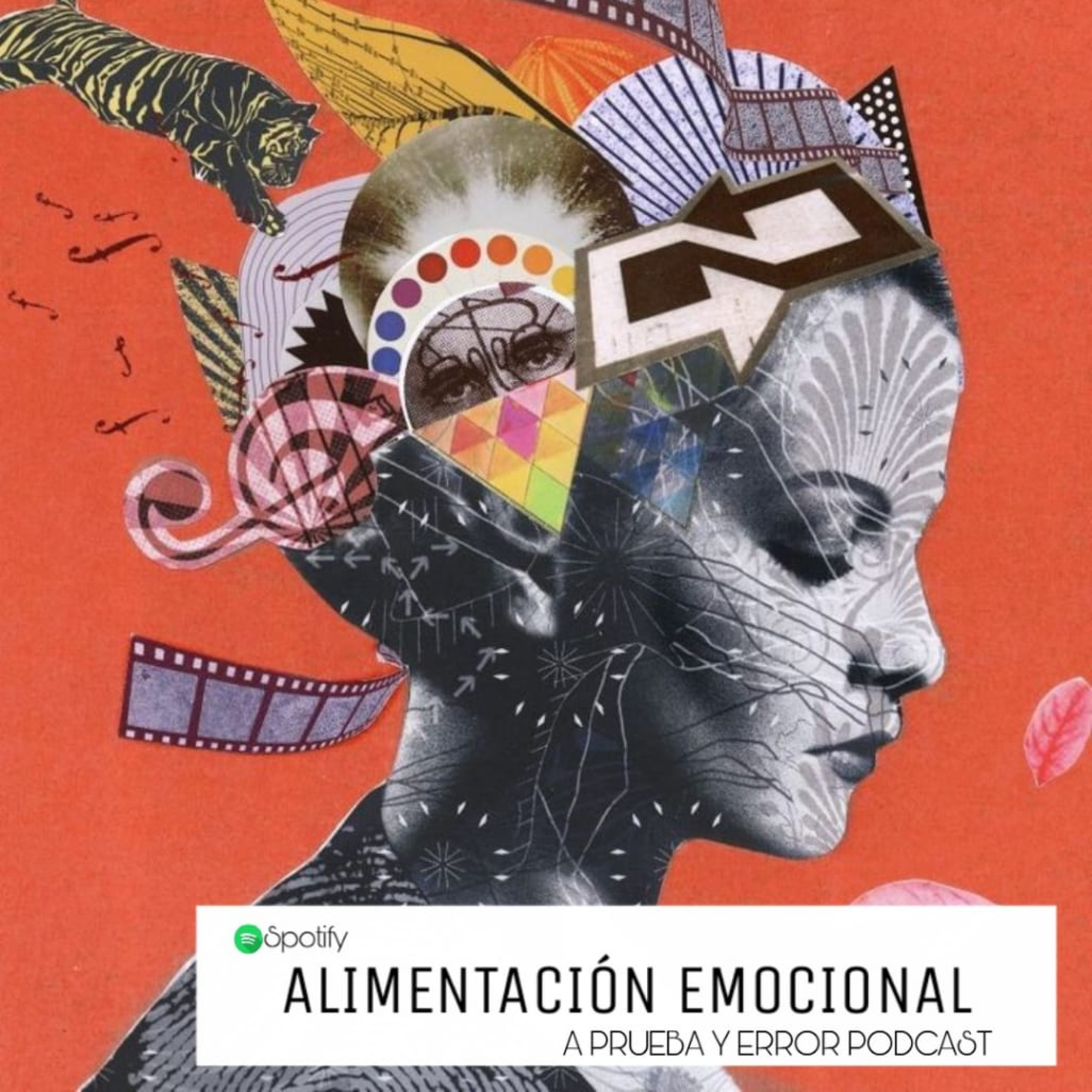 A Prueba y Error
