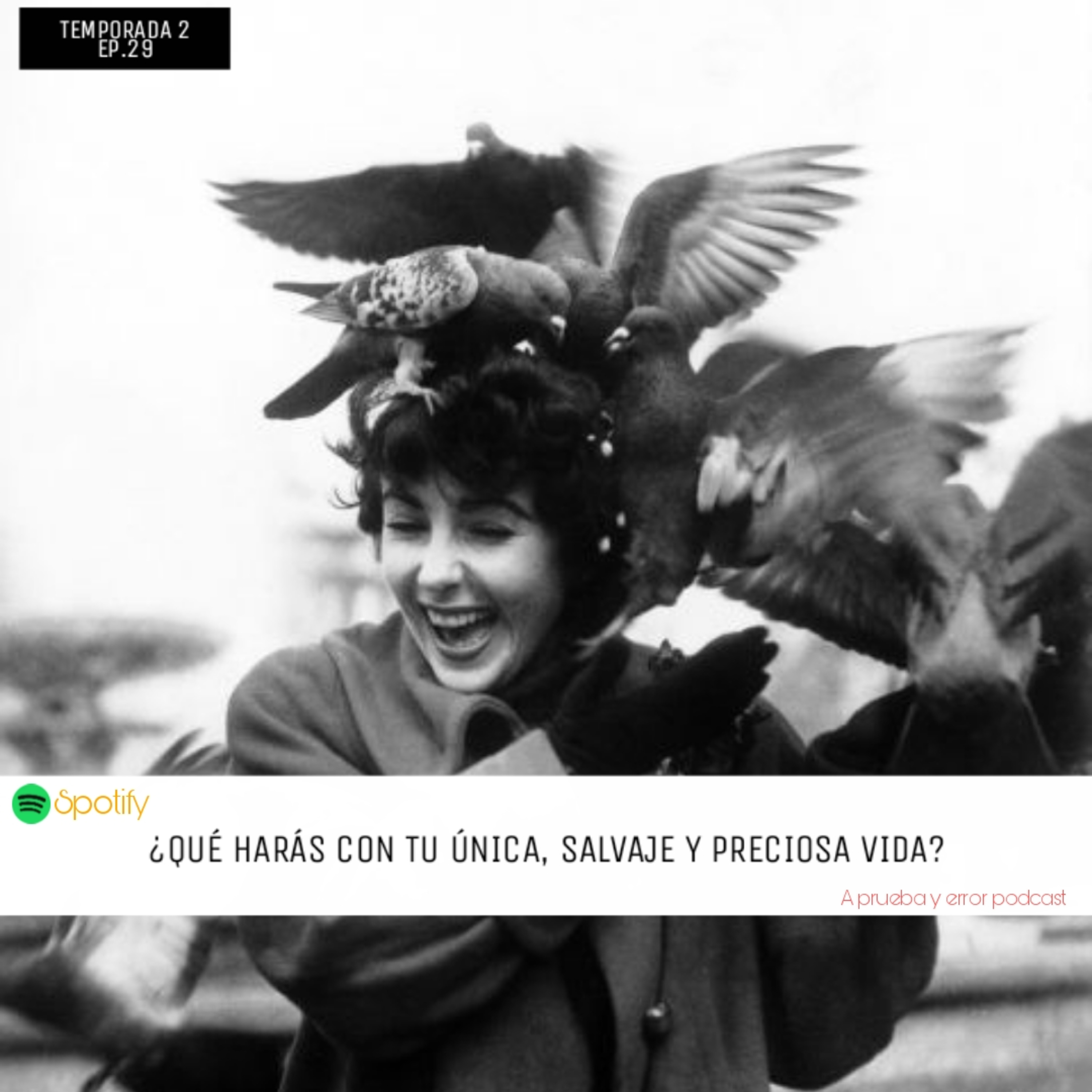 A Prueba y Error