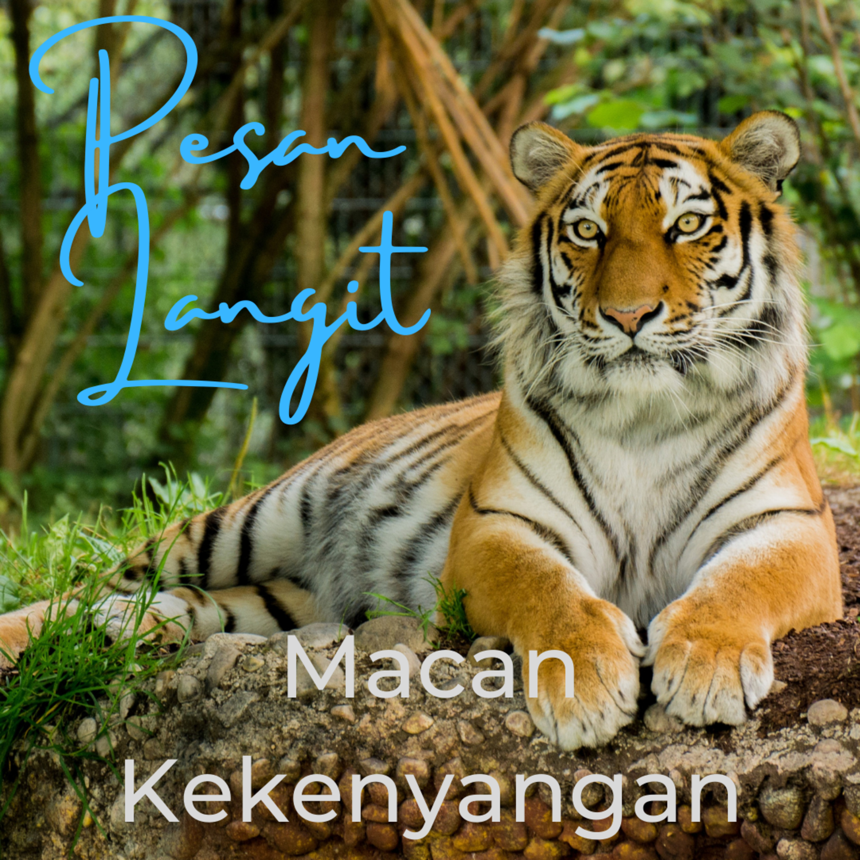 Pesan Langit