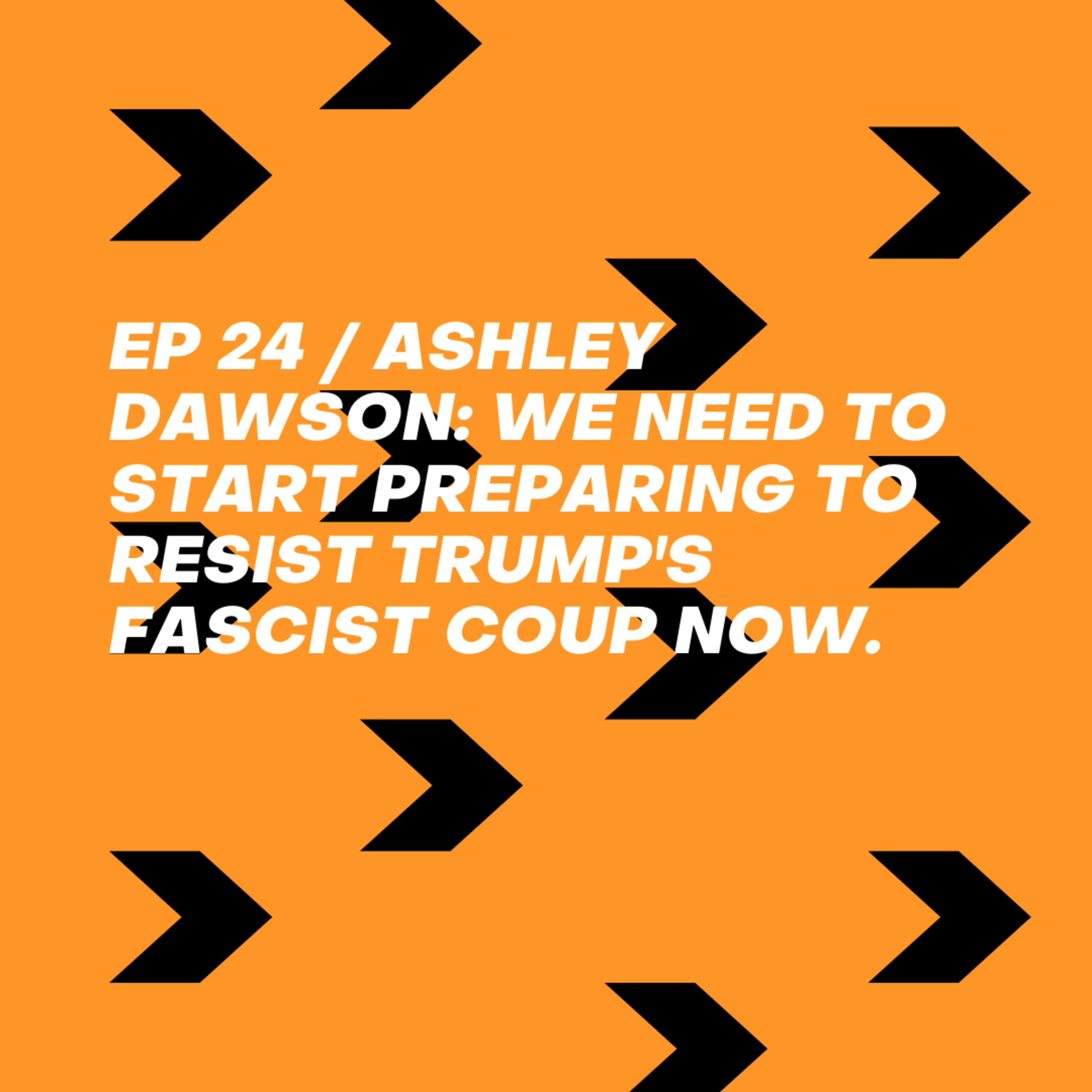 Ashley Dawson: We need to start preparing to resist Trump's fascist coup now. episode artwork