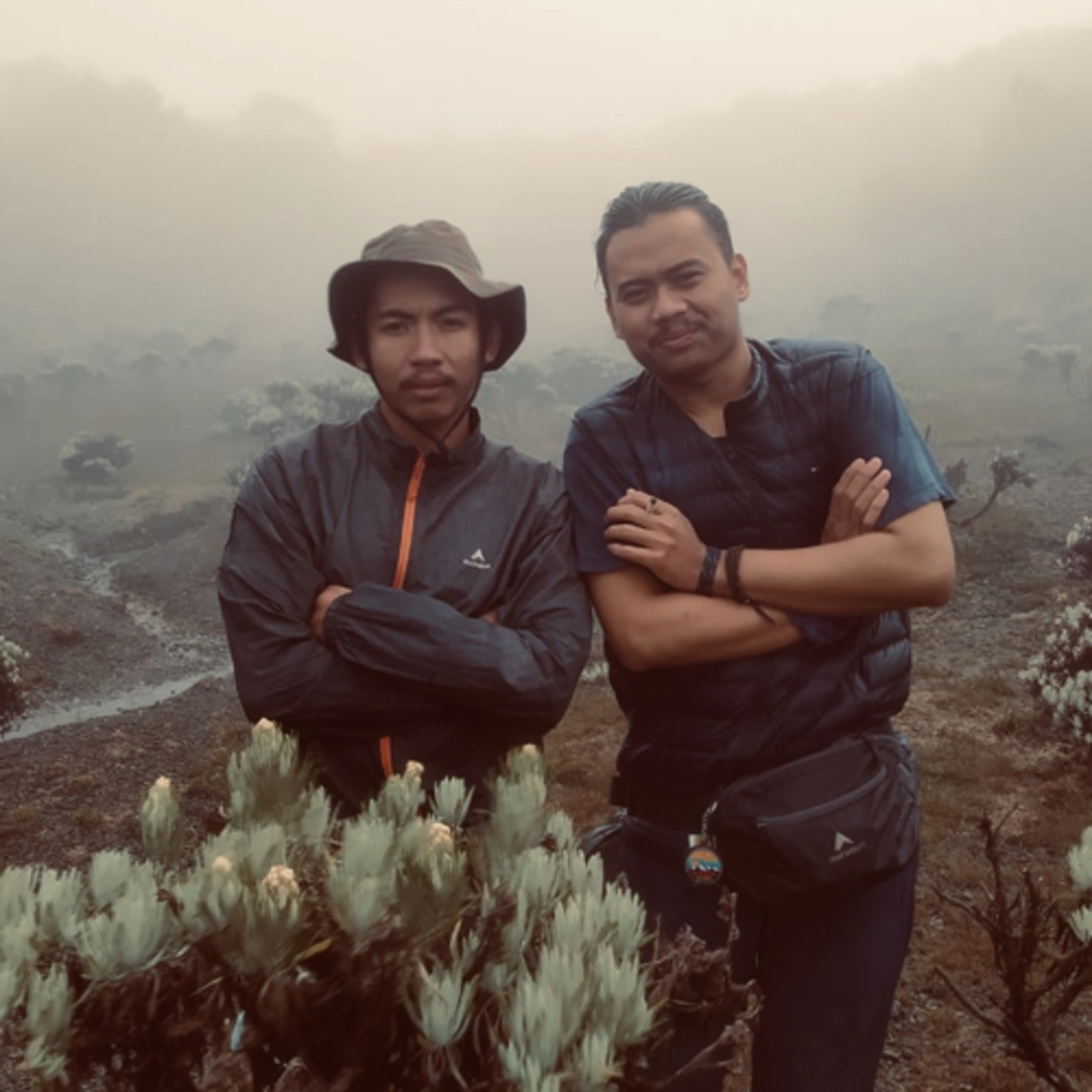 Asal Podcast