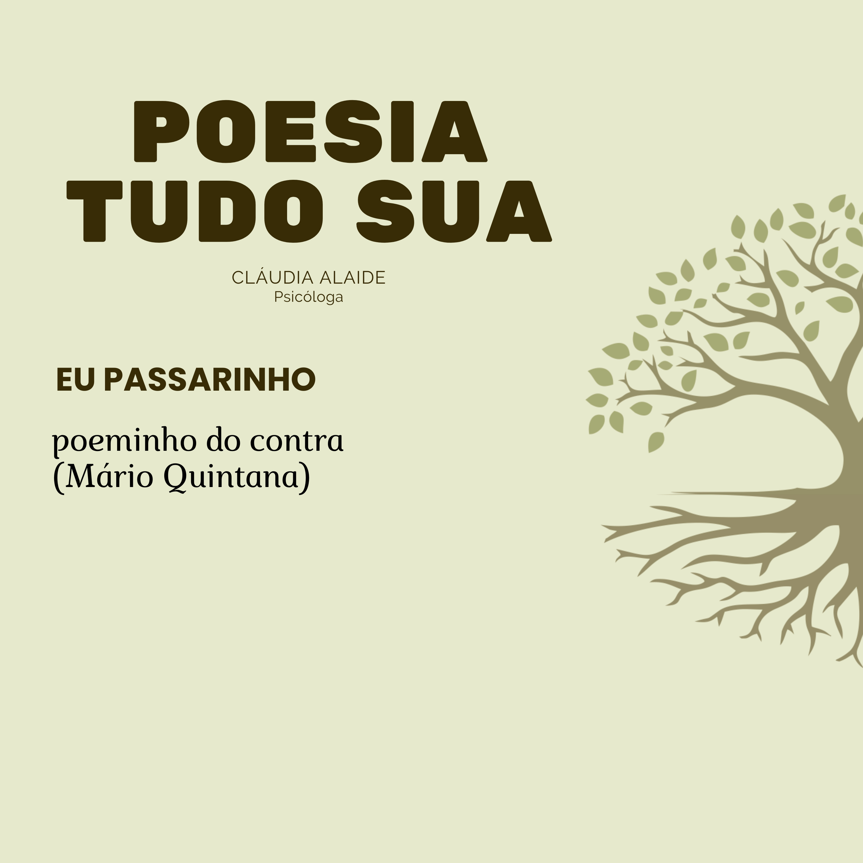 PTD - Eu passarinho episode artwork