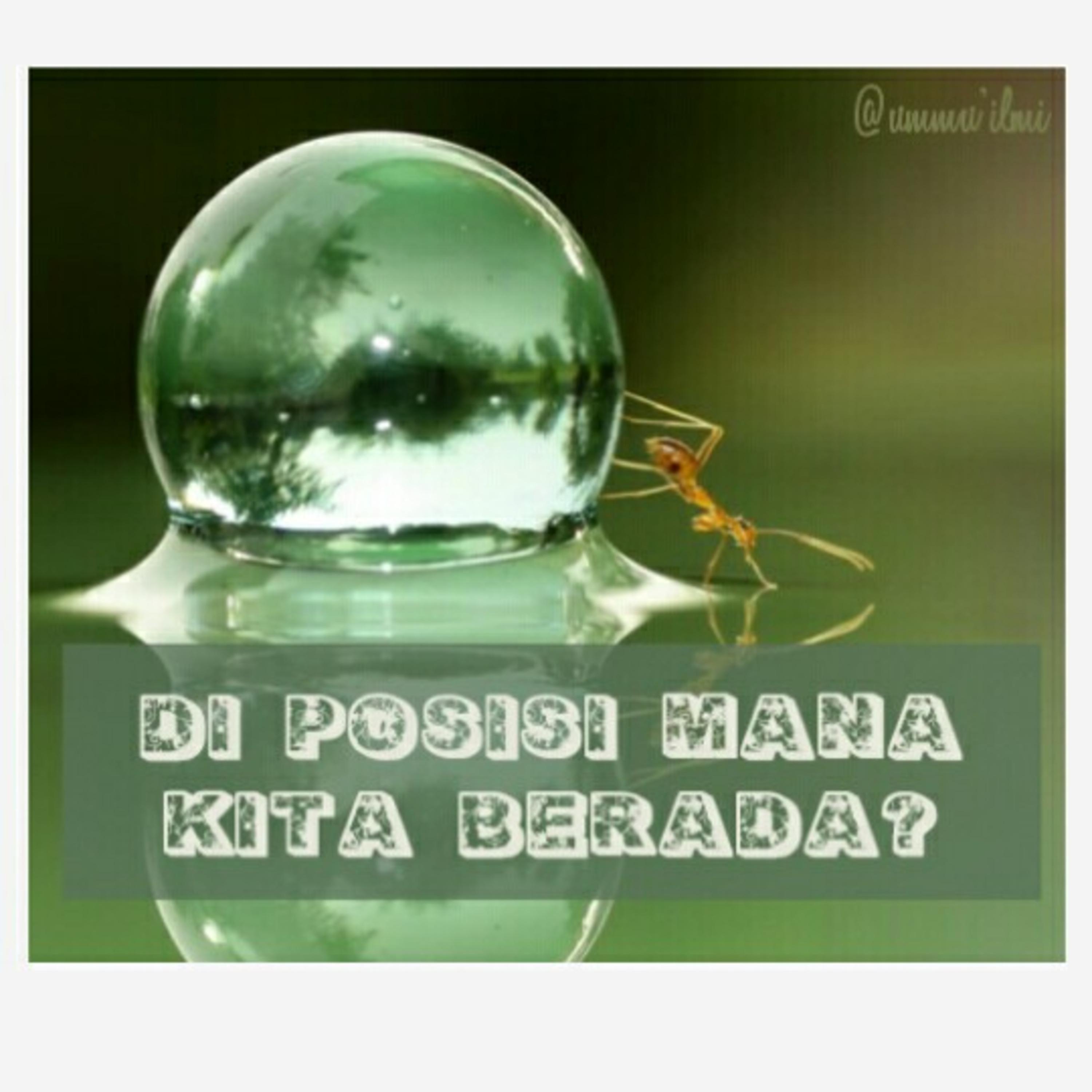 Cuma \'ilmi