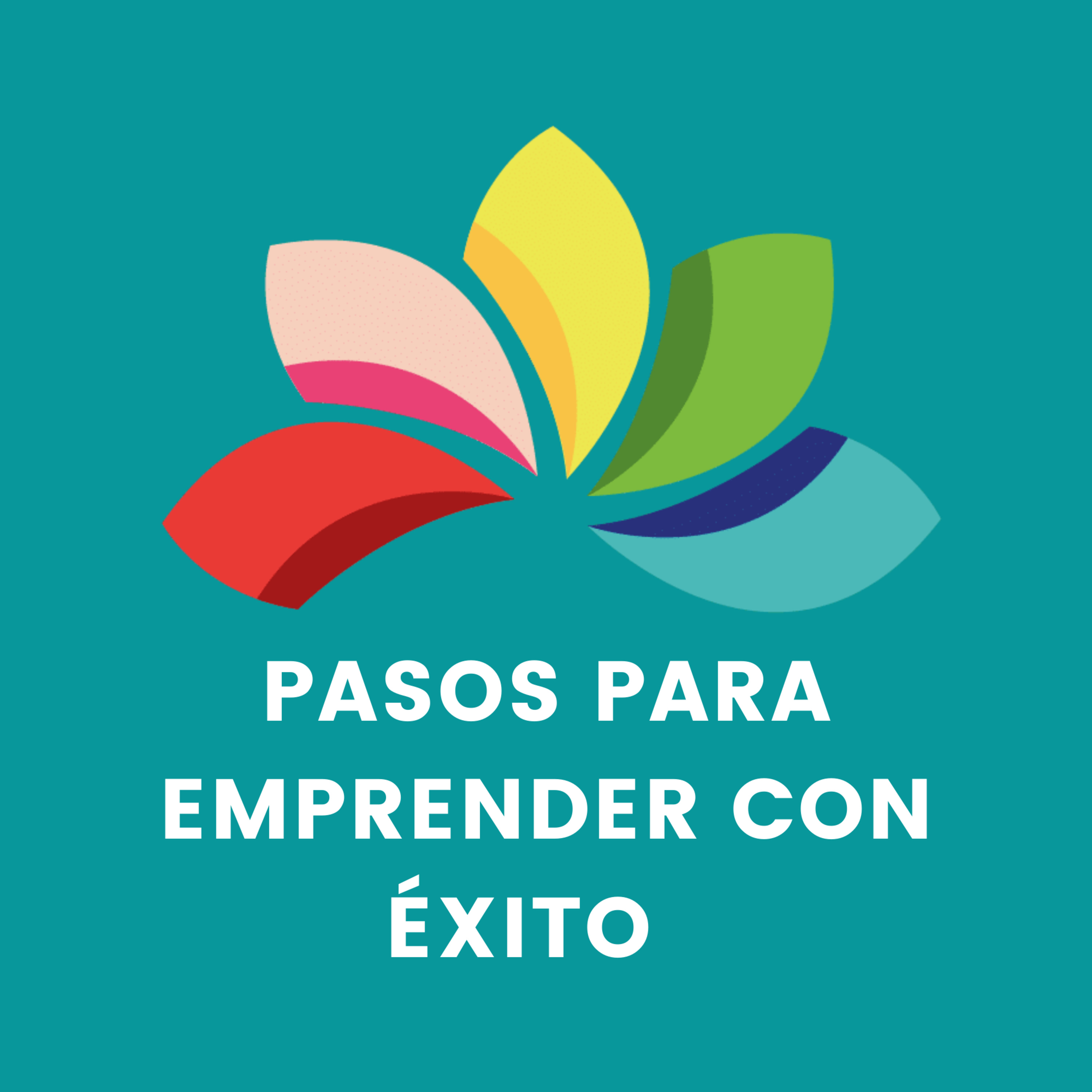 Portada de Pasos para emprender con éxito