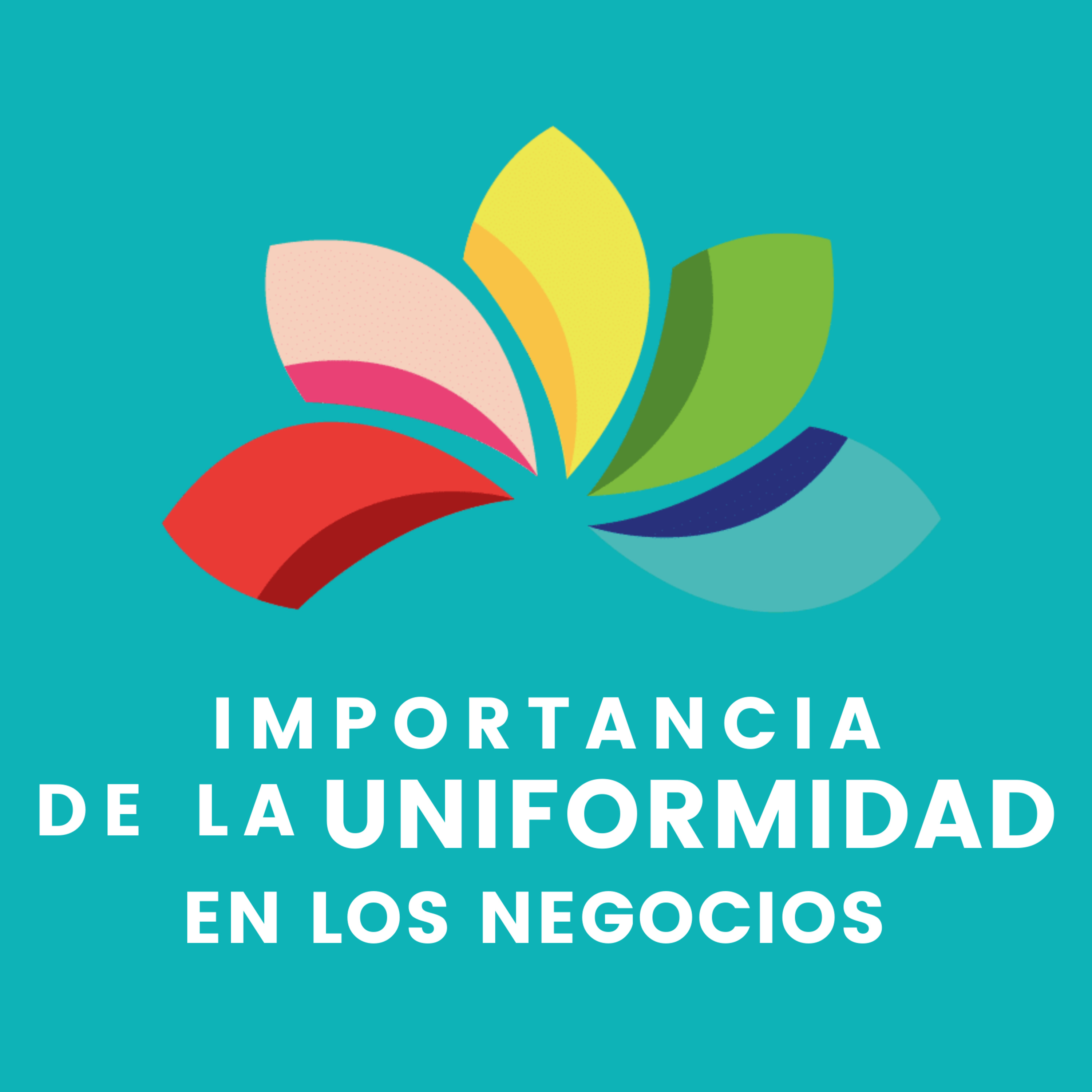 Portada de Pasos para emprender con éxito
