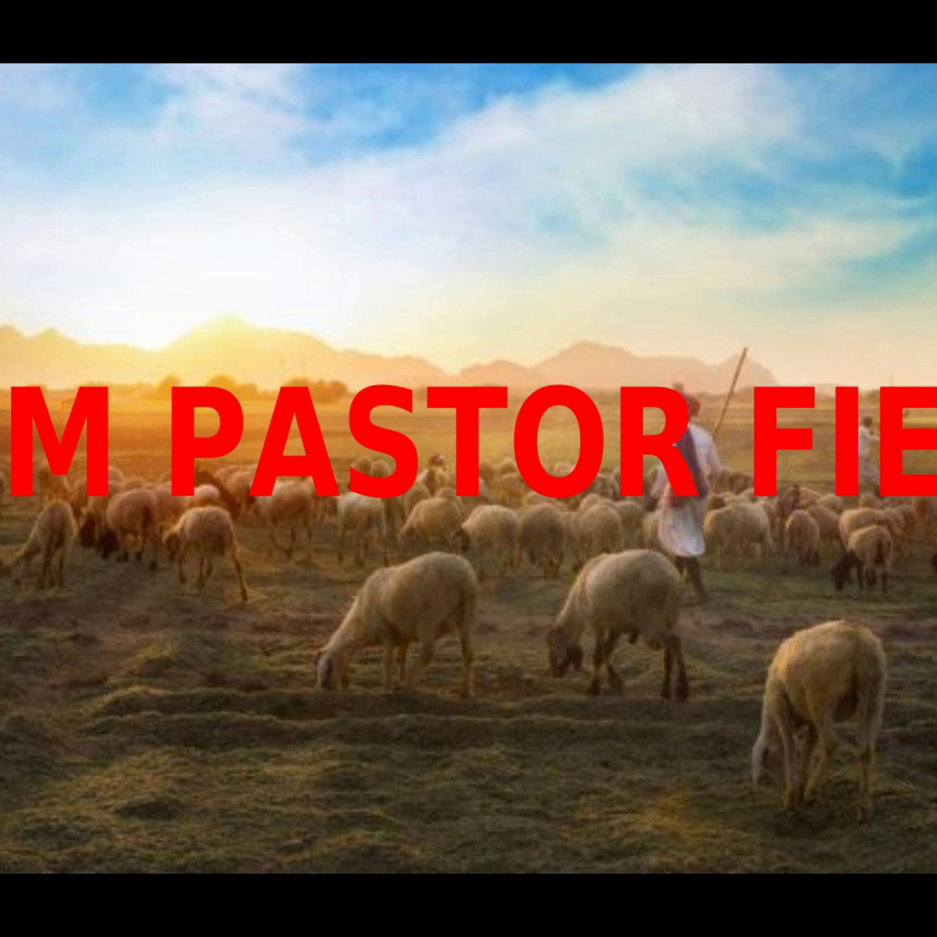 Um Pastor Fiel episode artwork