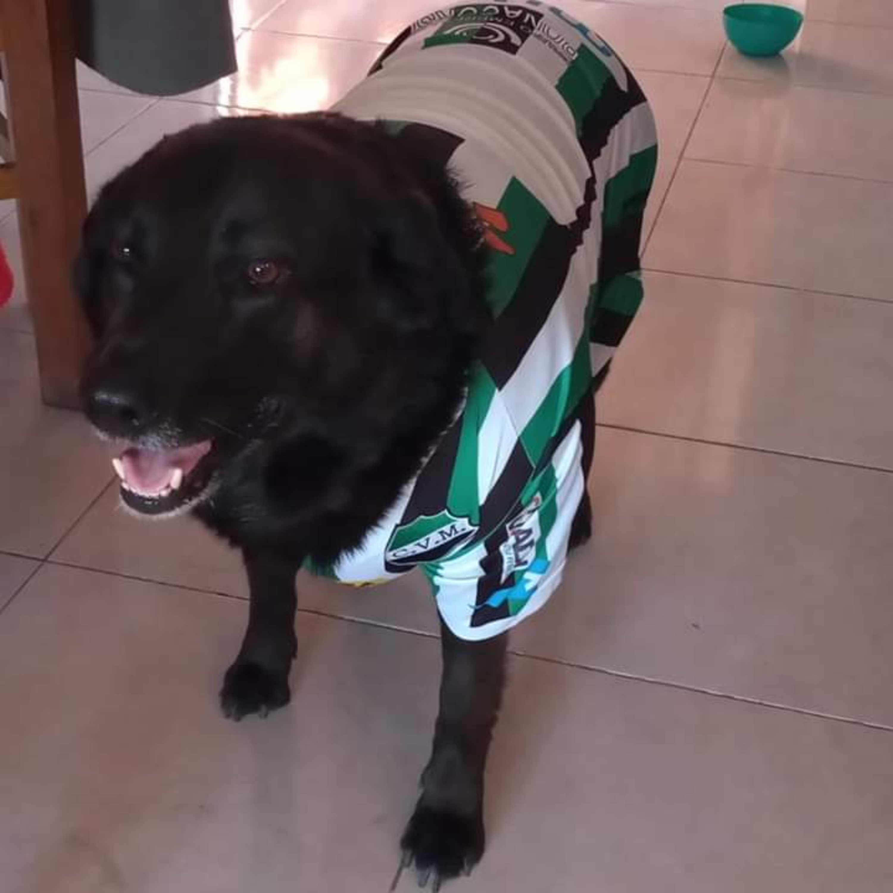 La Liga de los Clubes, Radio Provincia AM 1270