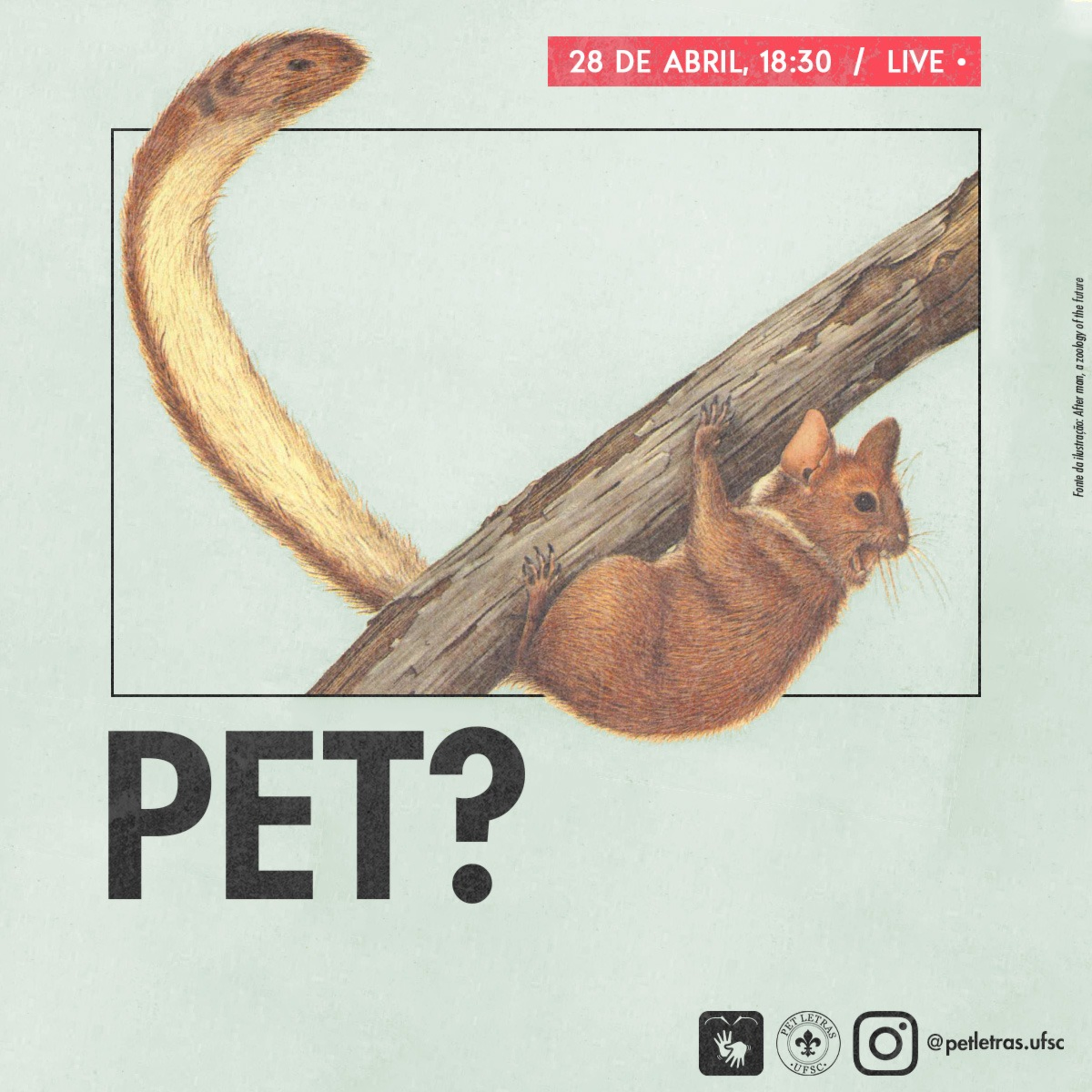 PET Letras UFSC